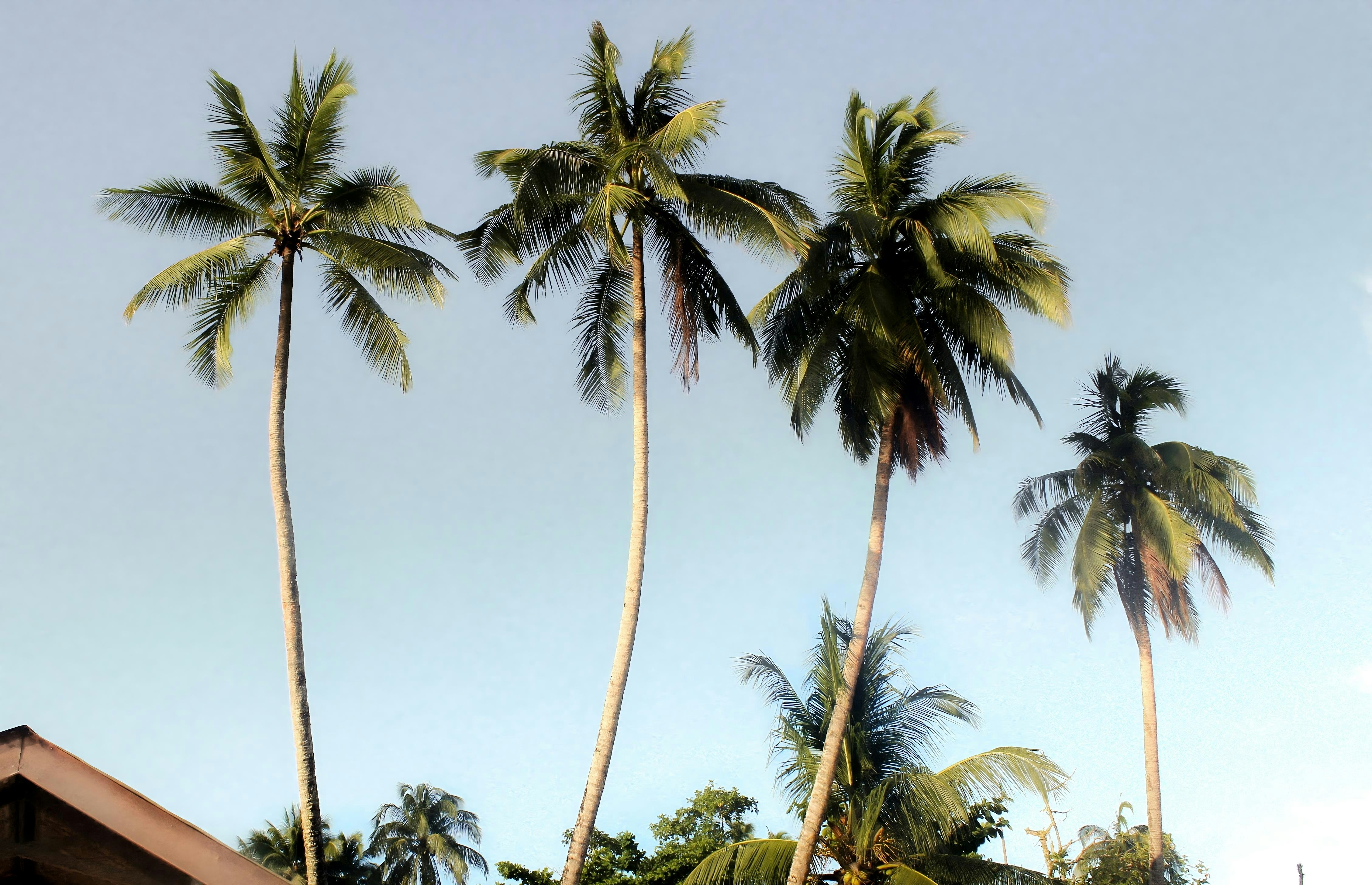 Photo by russellphotograpy