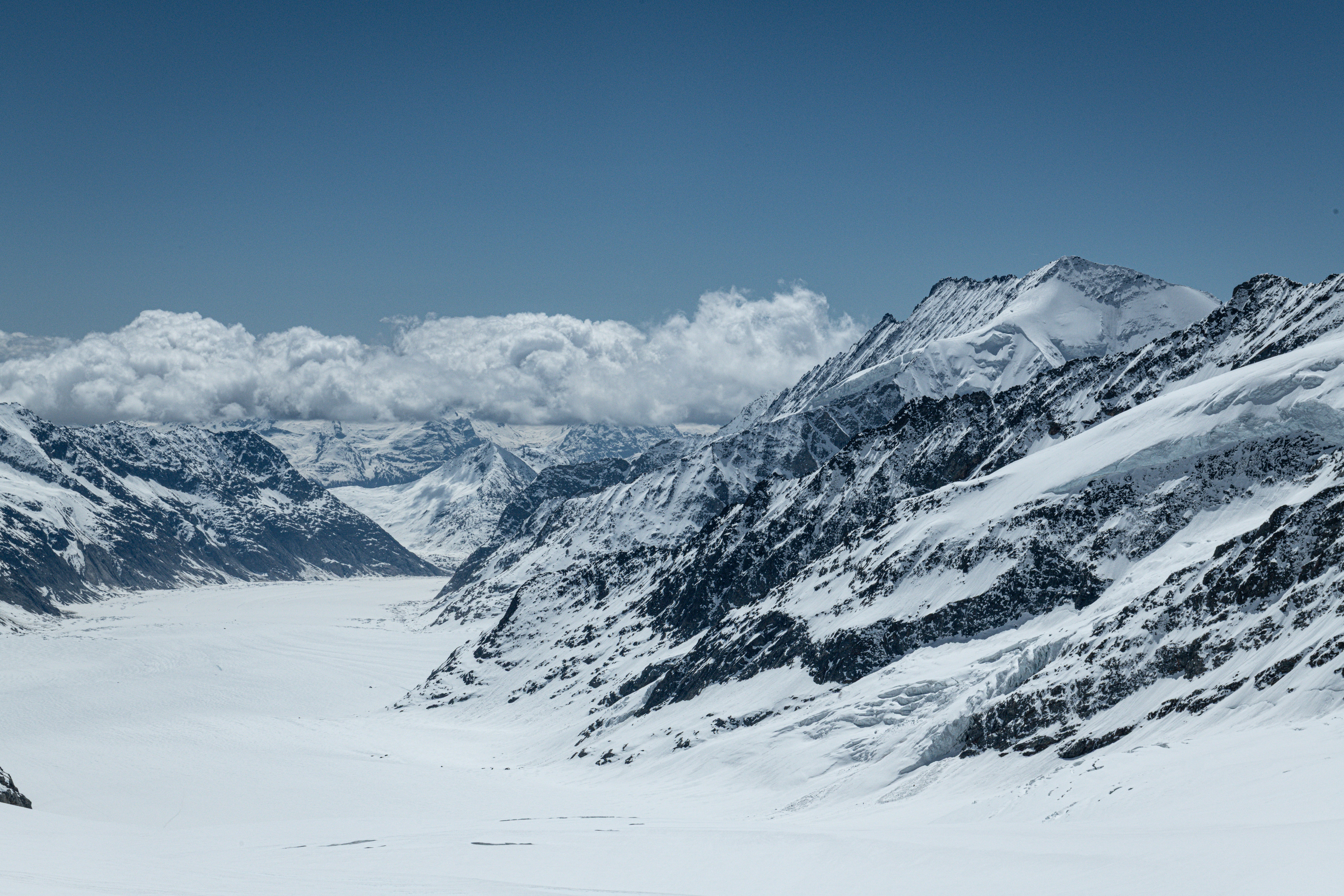 Photo by sriniunsplash