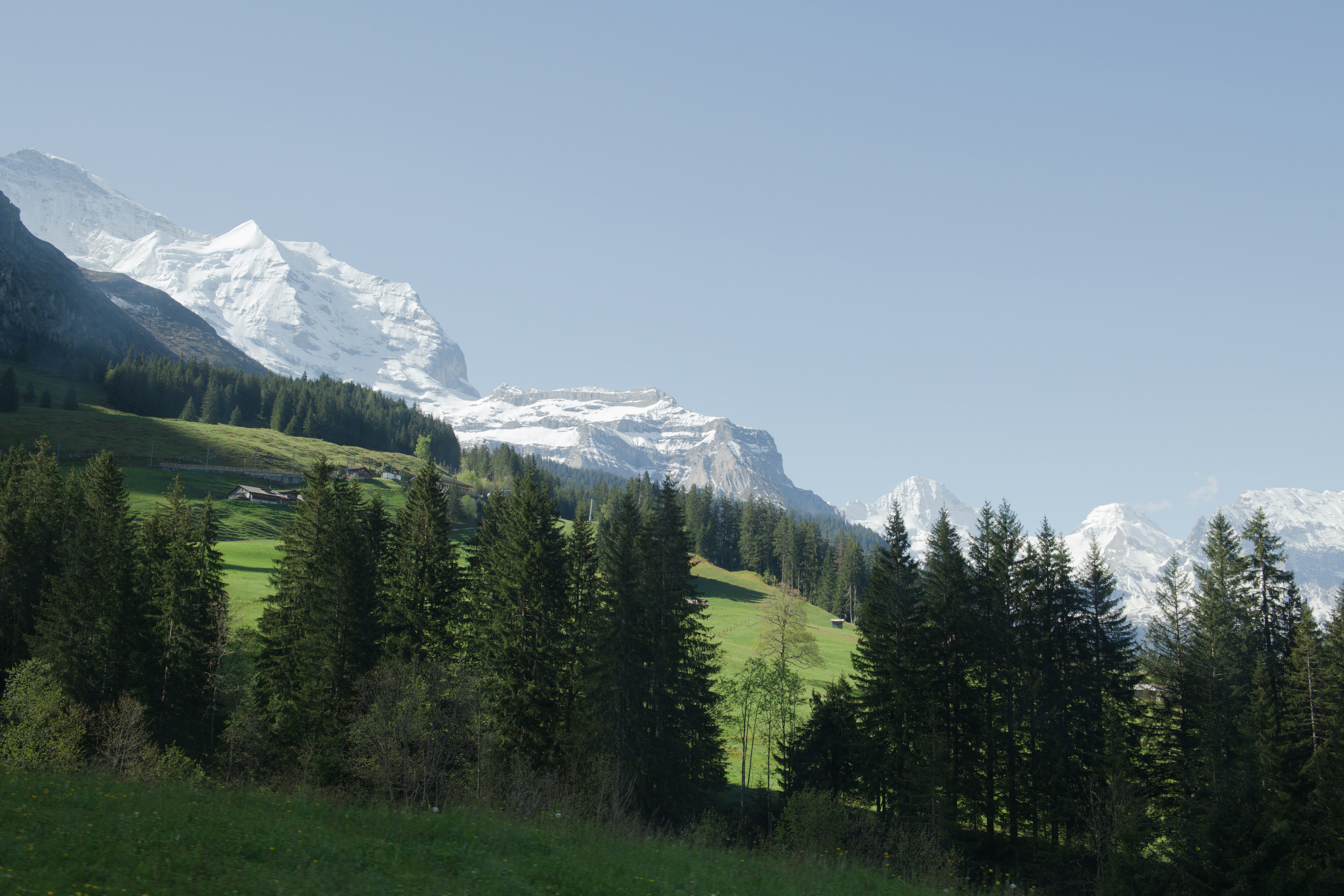 Photo by sriniunsplash