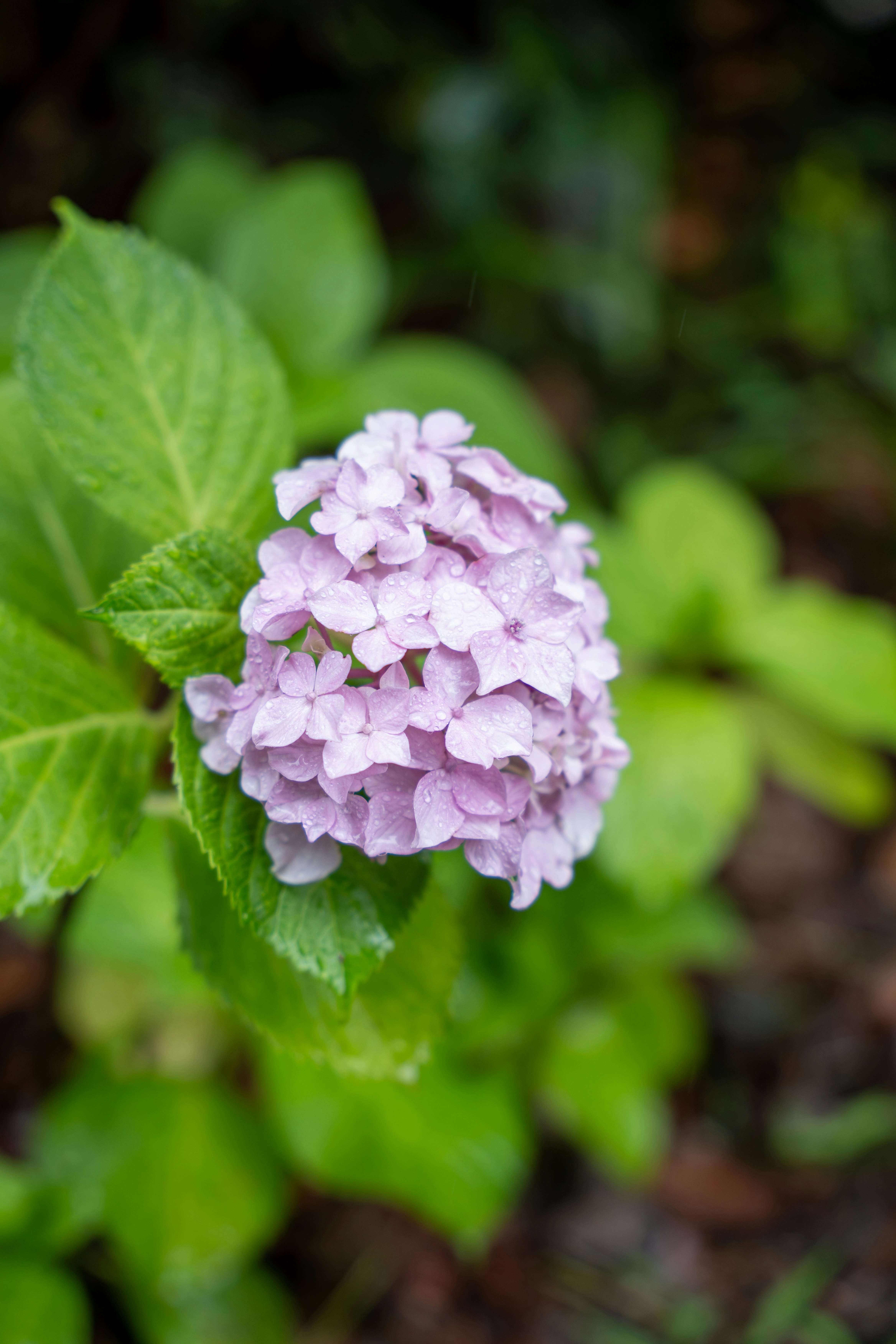 Photo by slow_monkey_69