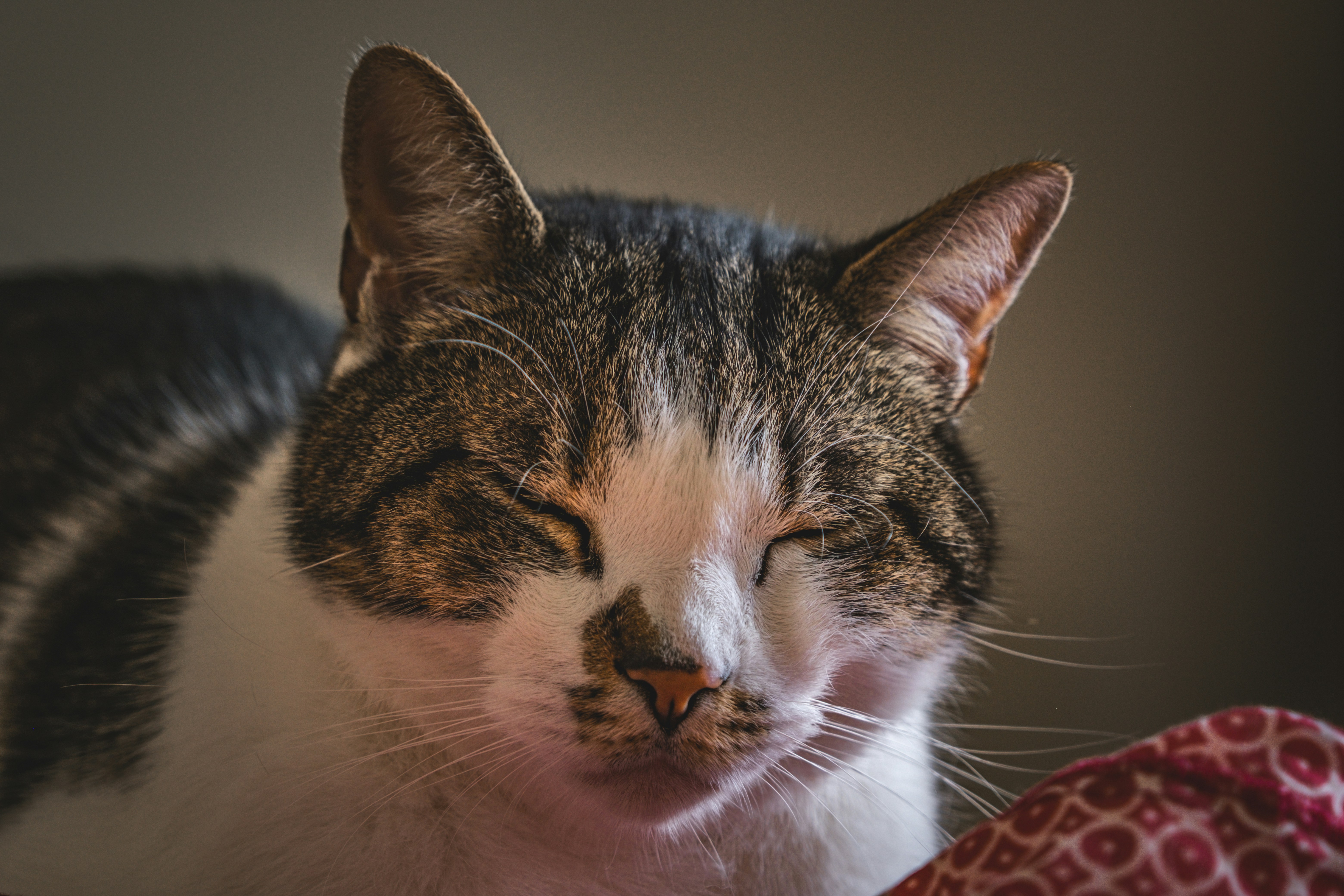 Photo by francesco_ungaro