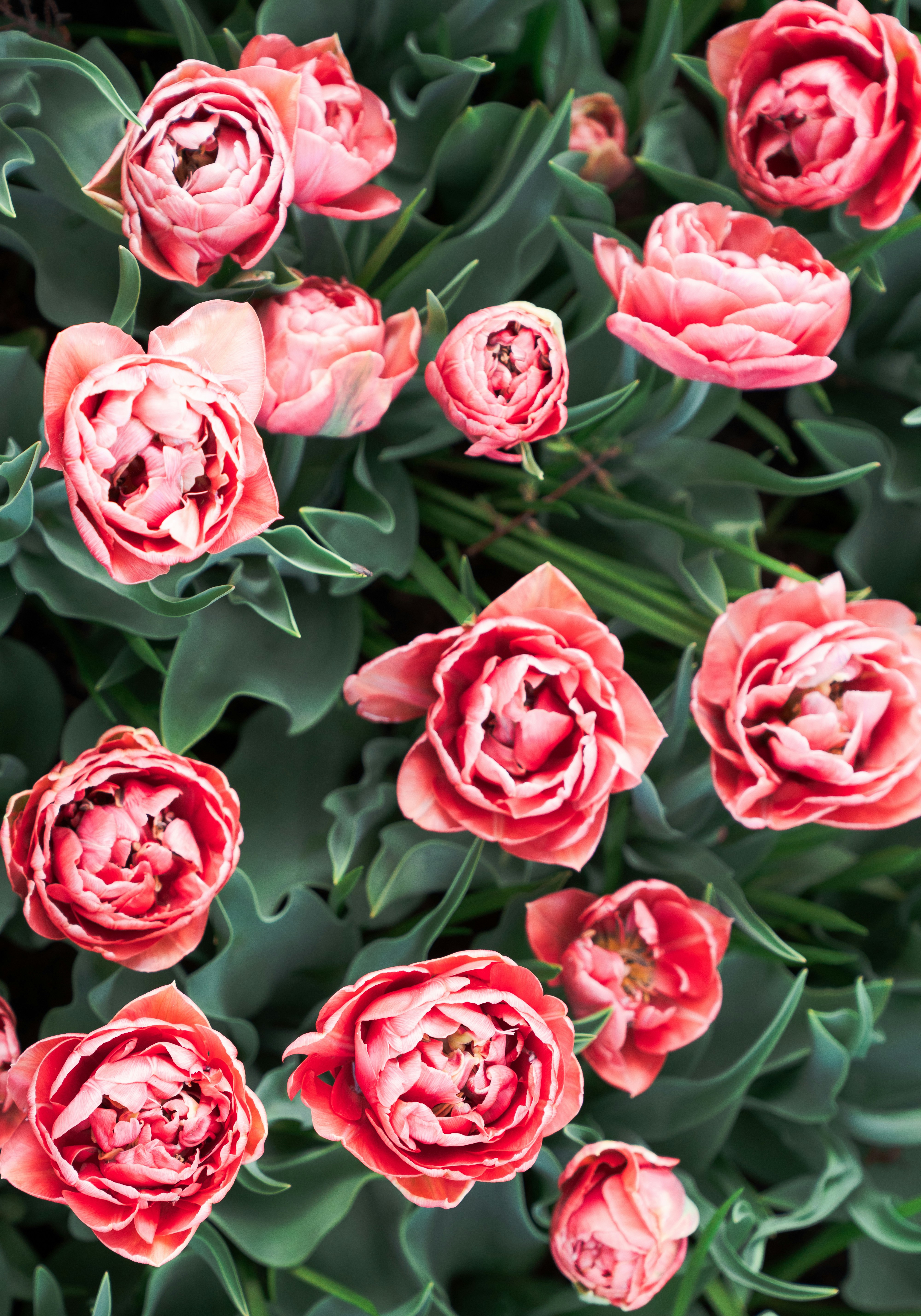 Photo by elisabeth_rausch