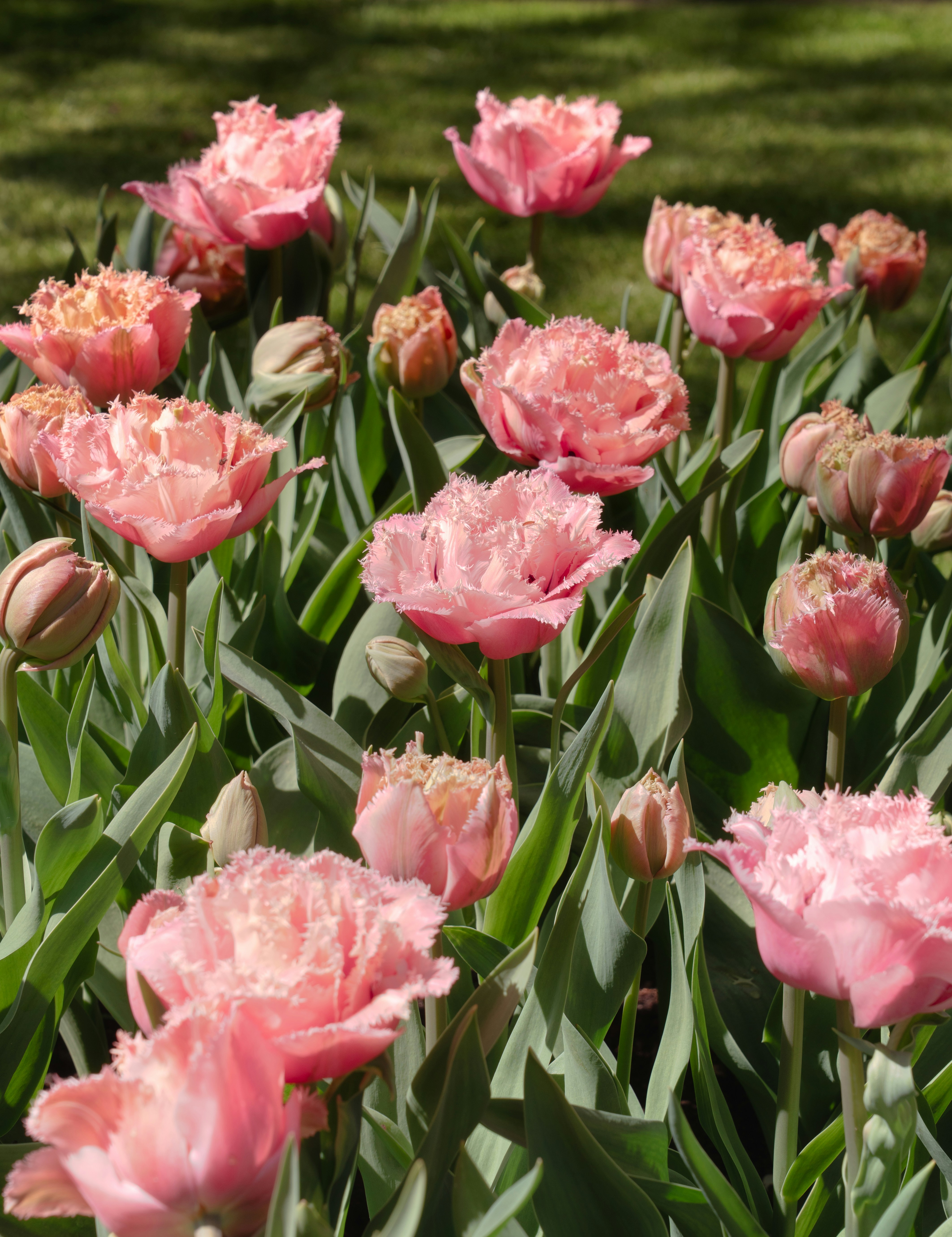 Photo by elisabeth_rausch