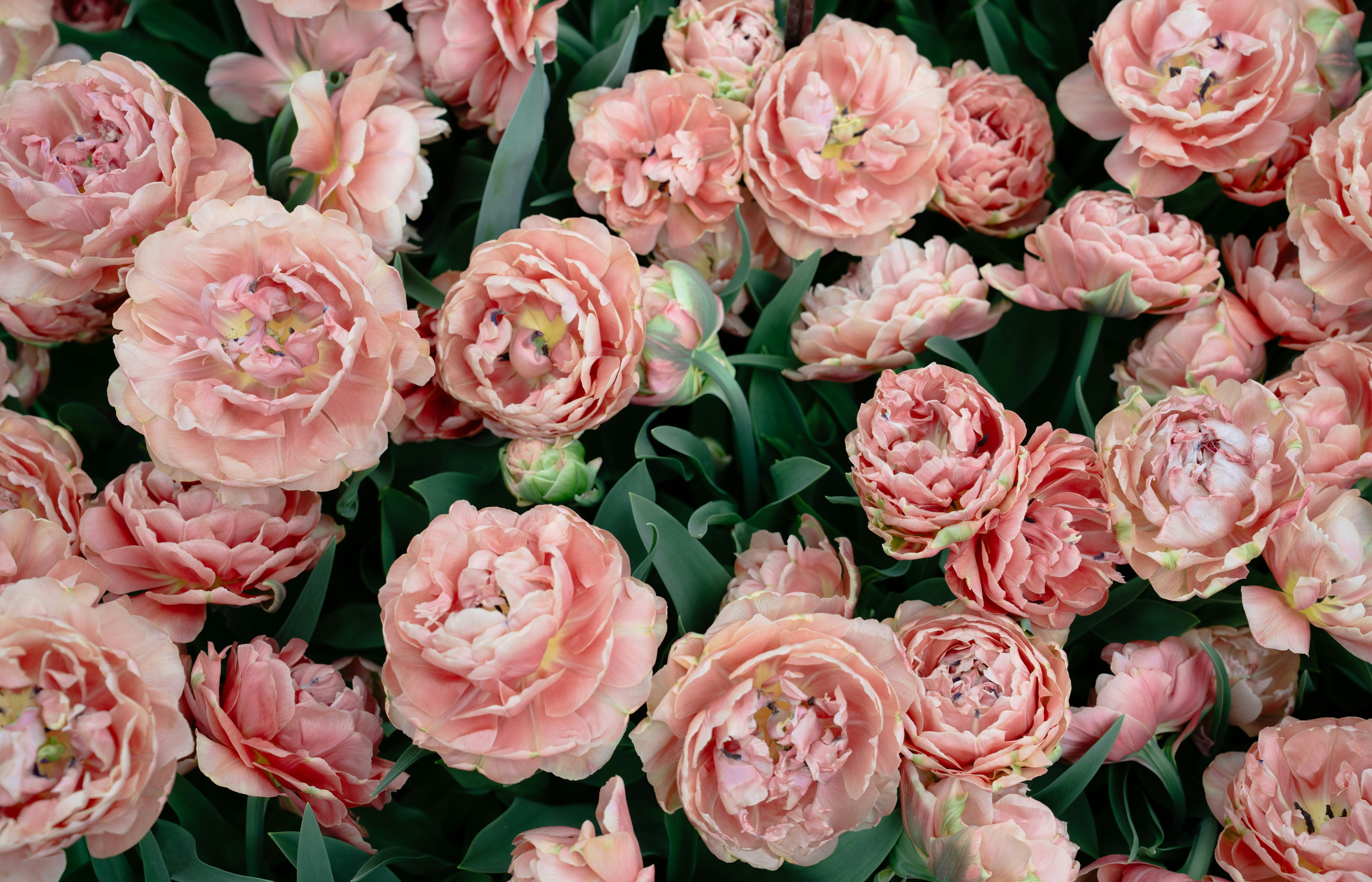 Photo by elisabeth_rausch