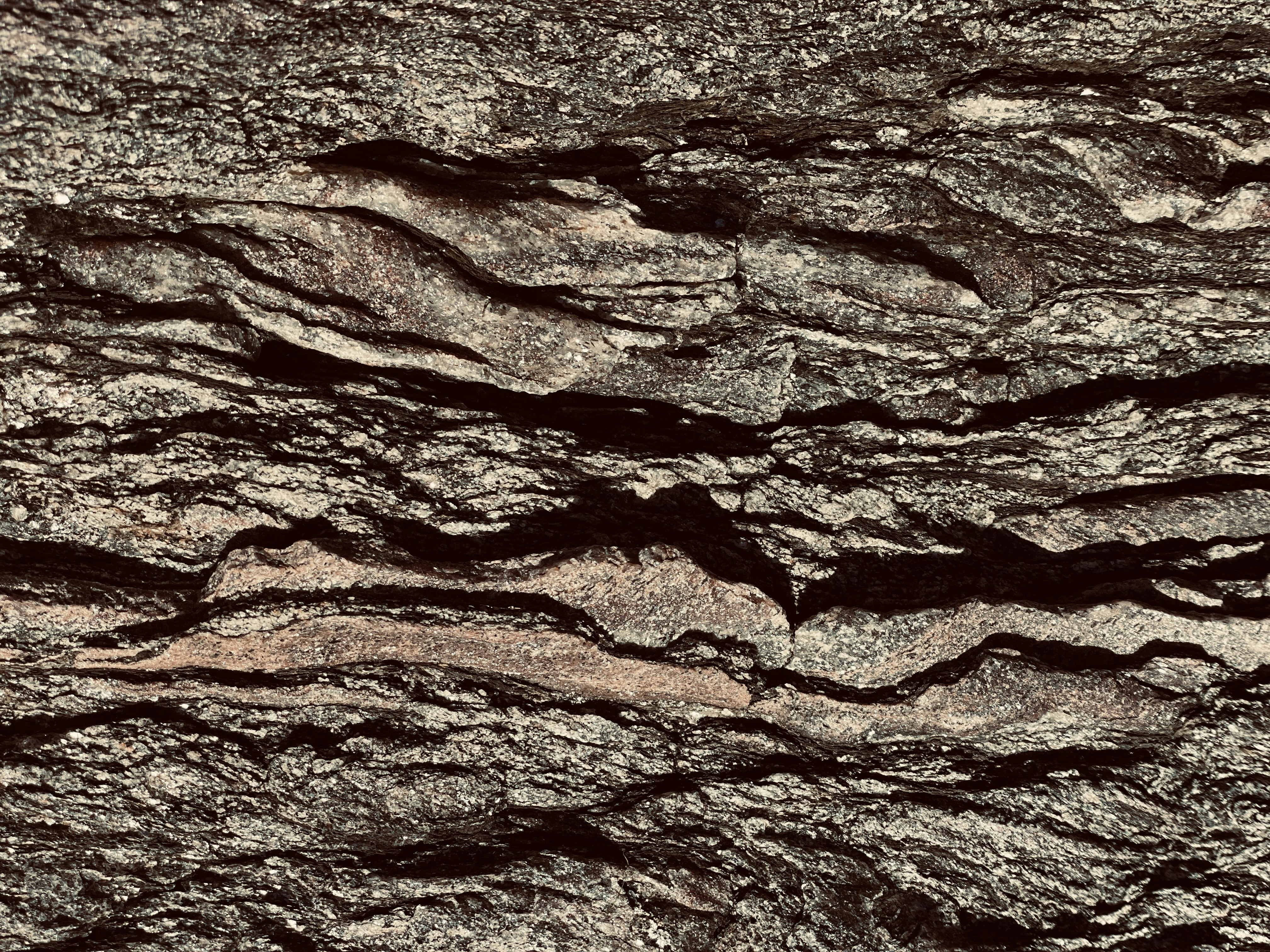 Photo by leon_peter_purtscher