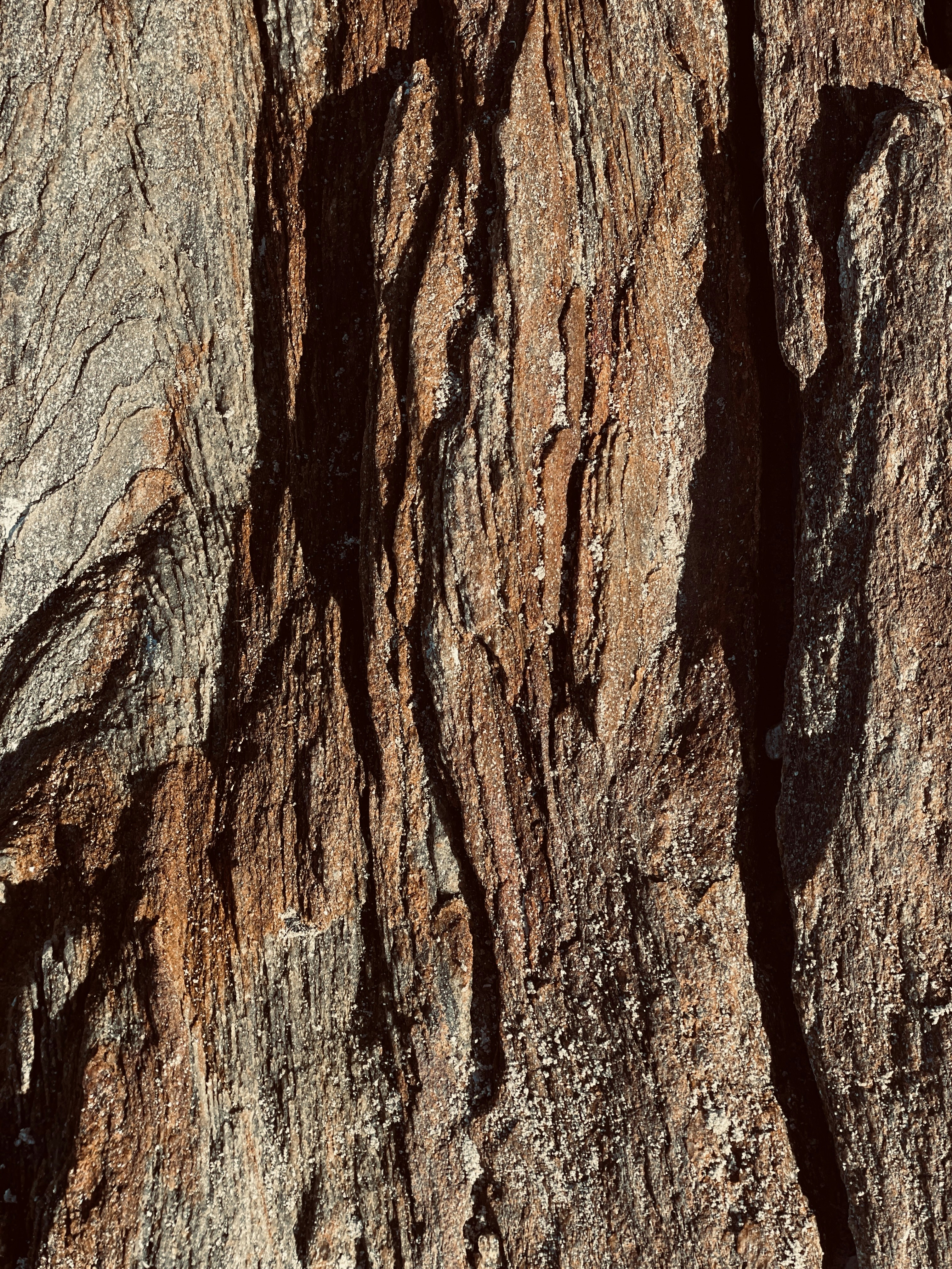 Photo by leon_peter_purtscher