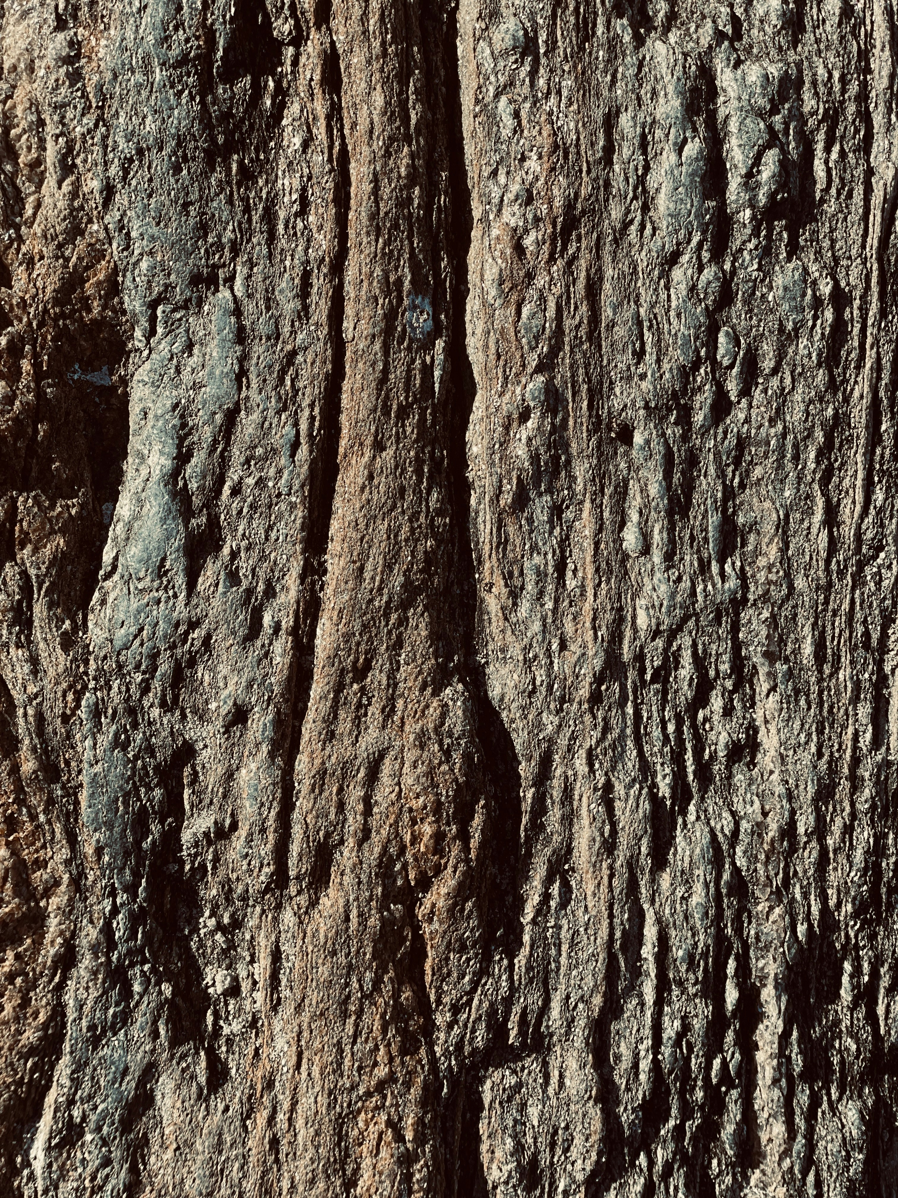 Photo by leon_peter_purtscher