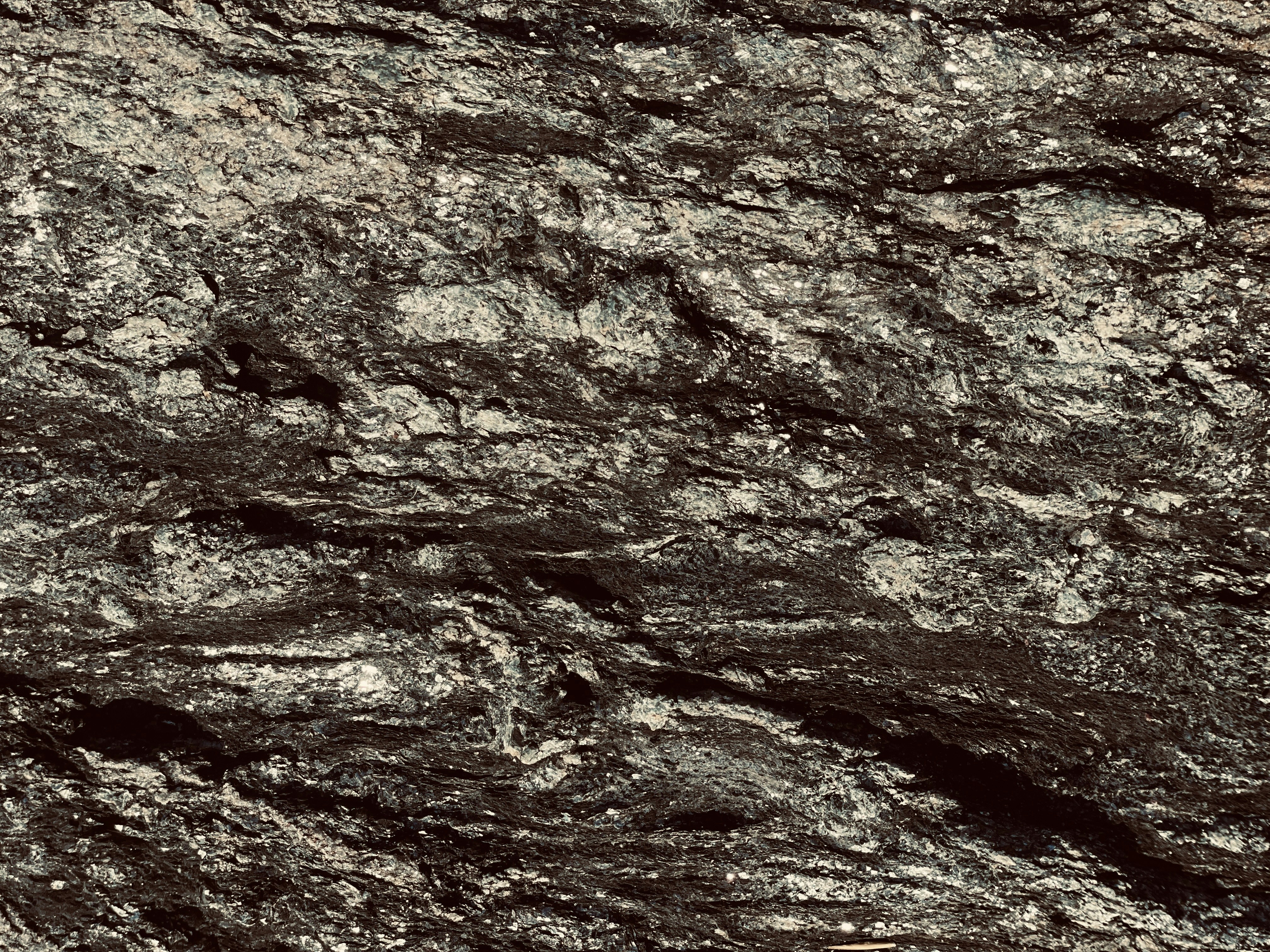 두피 위 하얀 눈꽃, 비듬! 원인부터 박멸까지, 속 시원한 두피 사용 설명서 ❄️