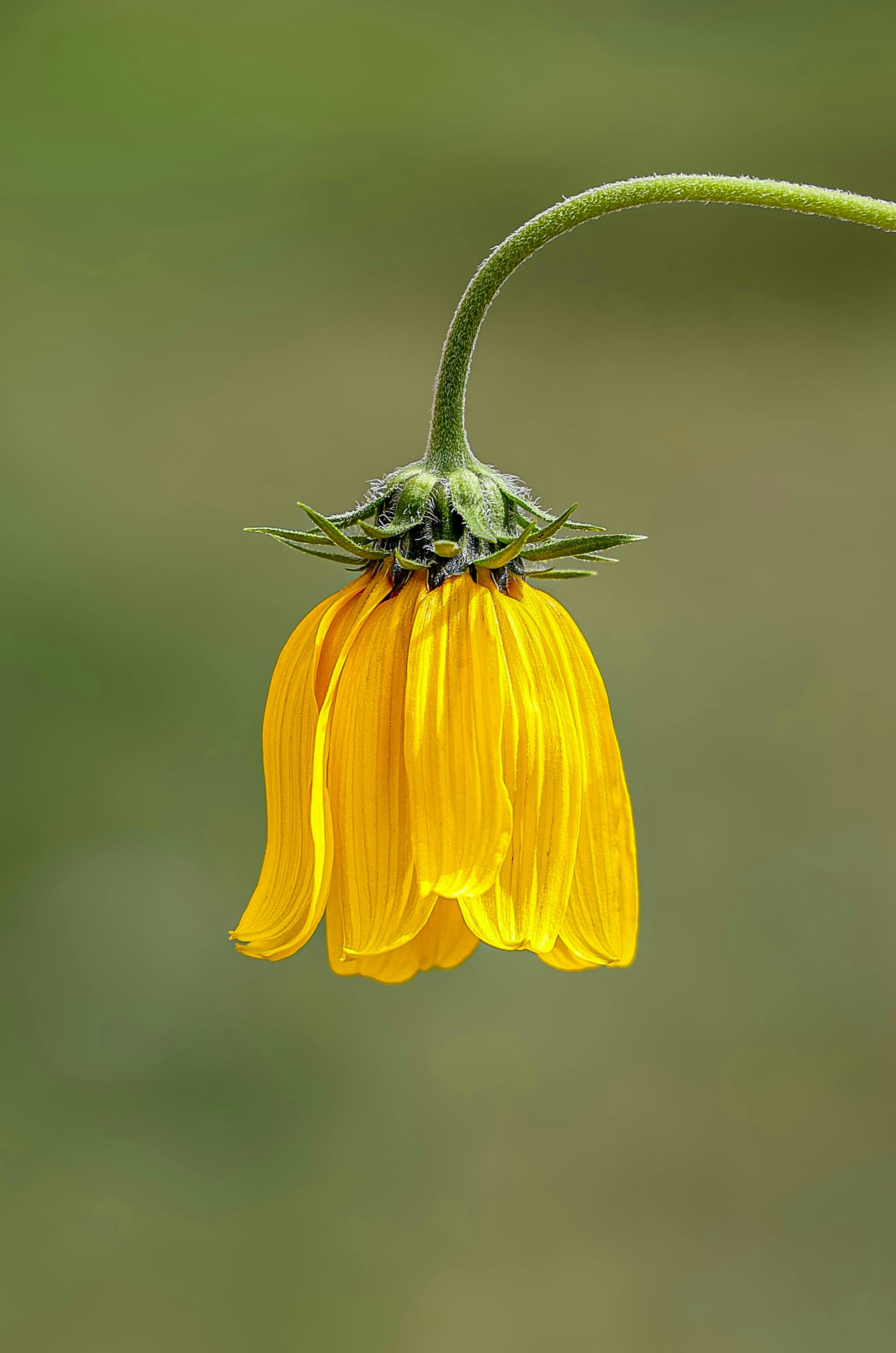 Photo by americanaez225