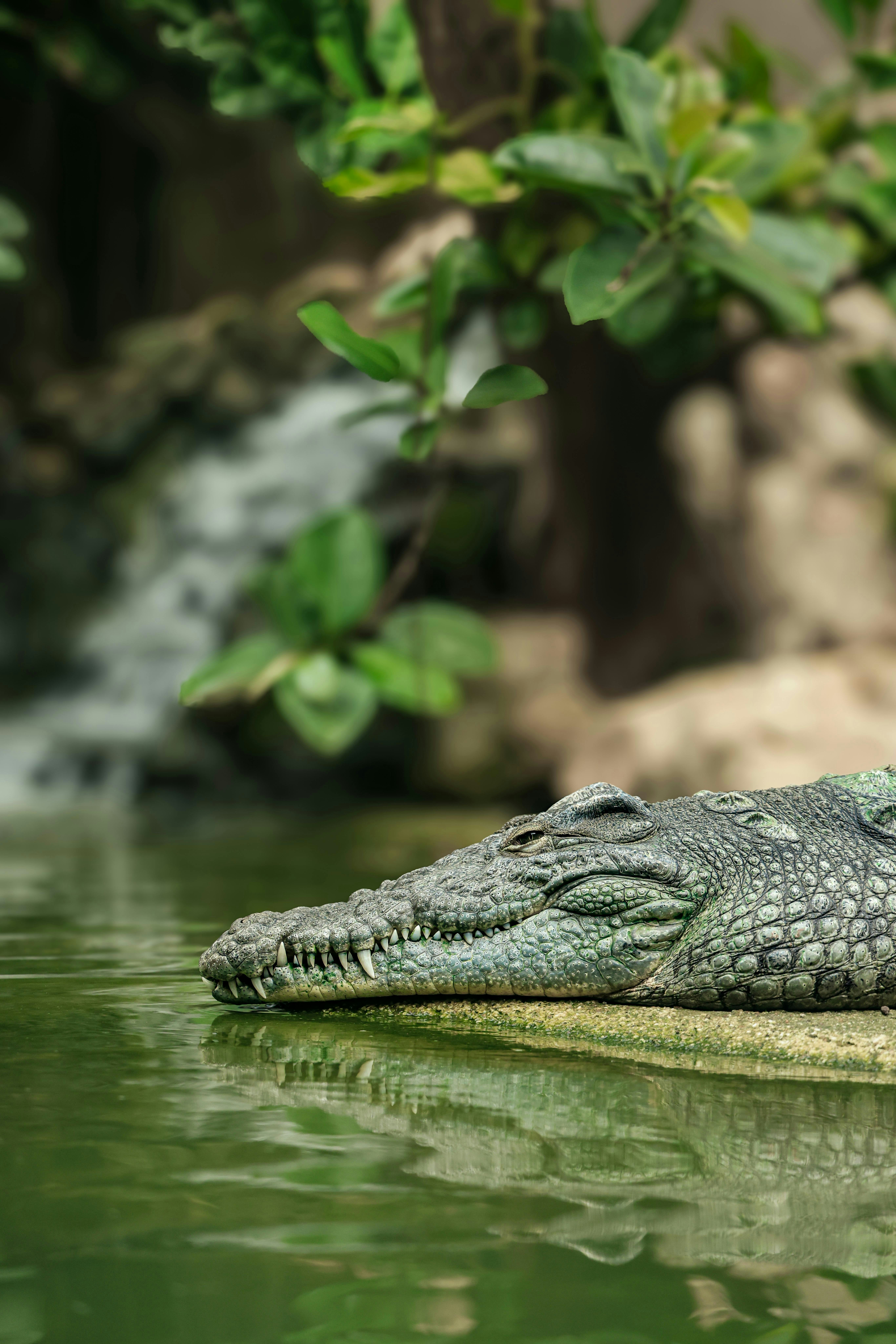 Photo by americanaez225