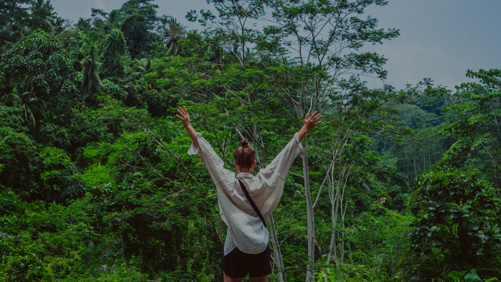 A woman stands facing a lush green rainforest with her arms raised in a hopeful gesture.