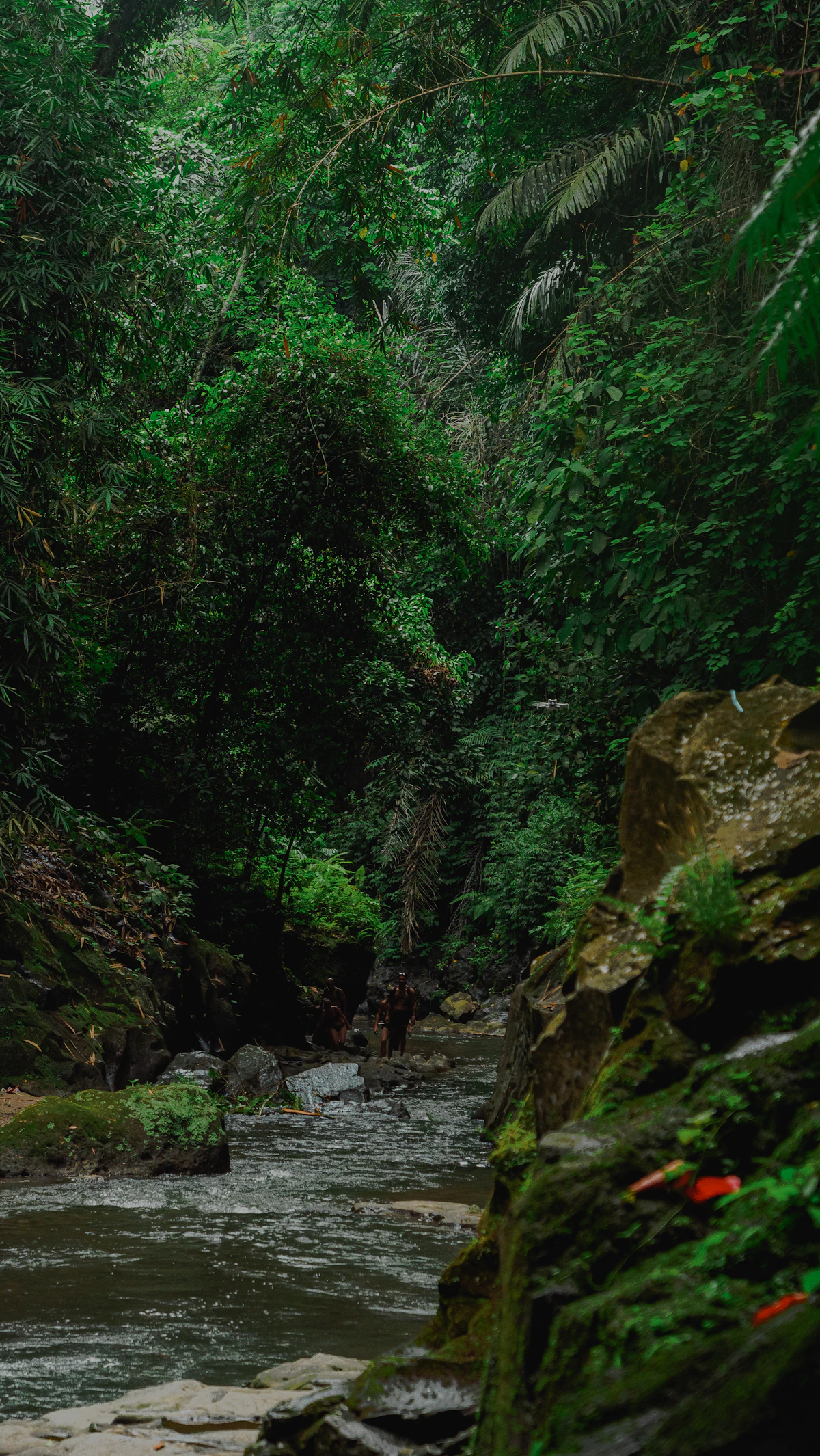 Ayung River White Water Rafting & Ubud Jungle Swing Landscape Combo