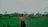 Woman looks at a lush green field with a hand on her head.