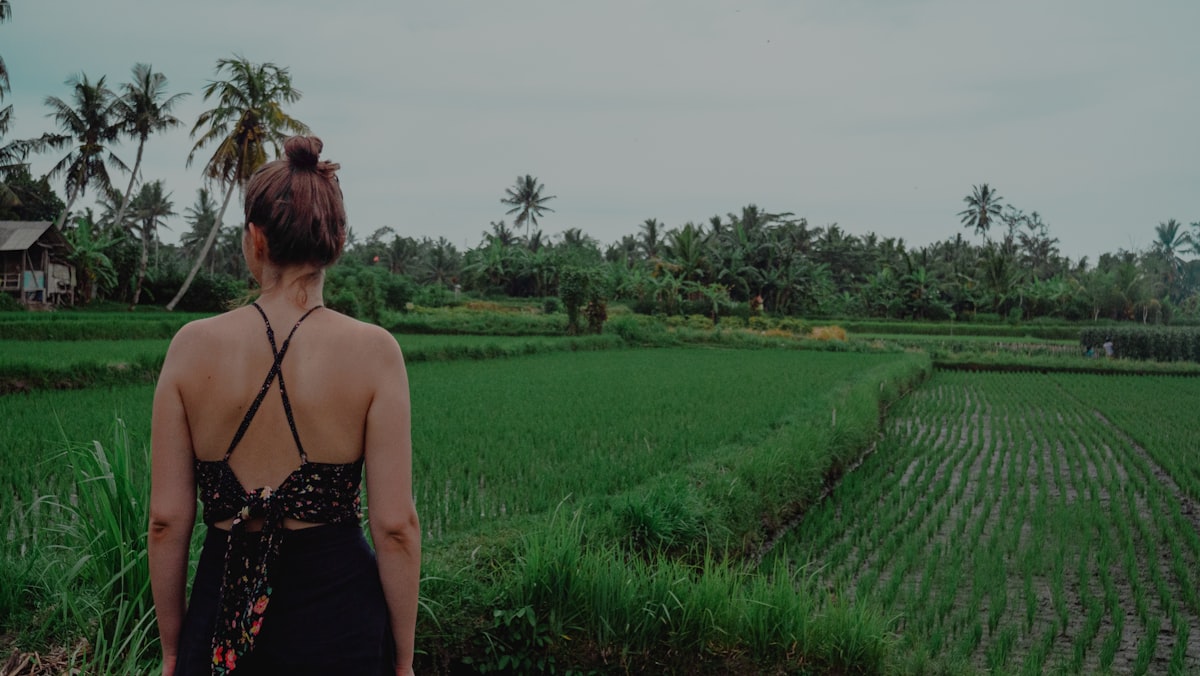 Woman looking at rice fields on a sunny day.