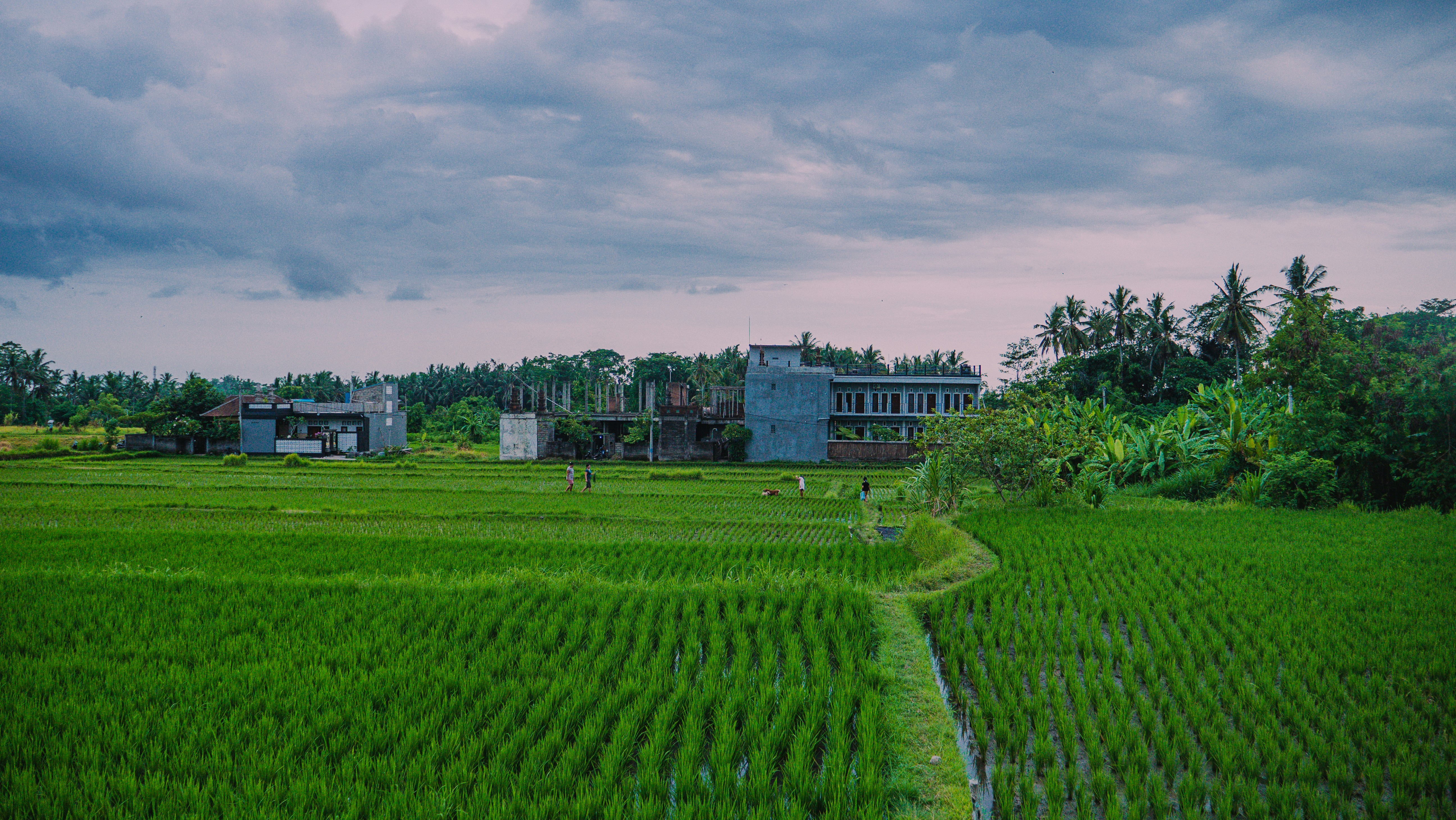 Fertilizer production facility