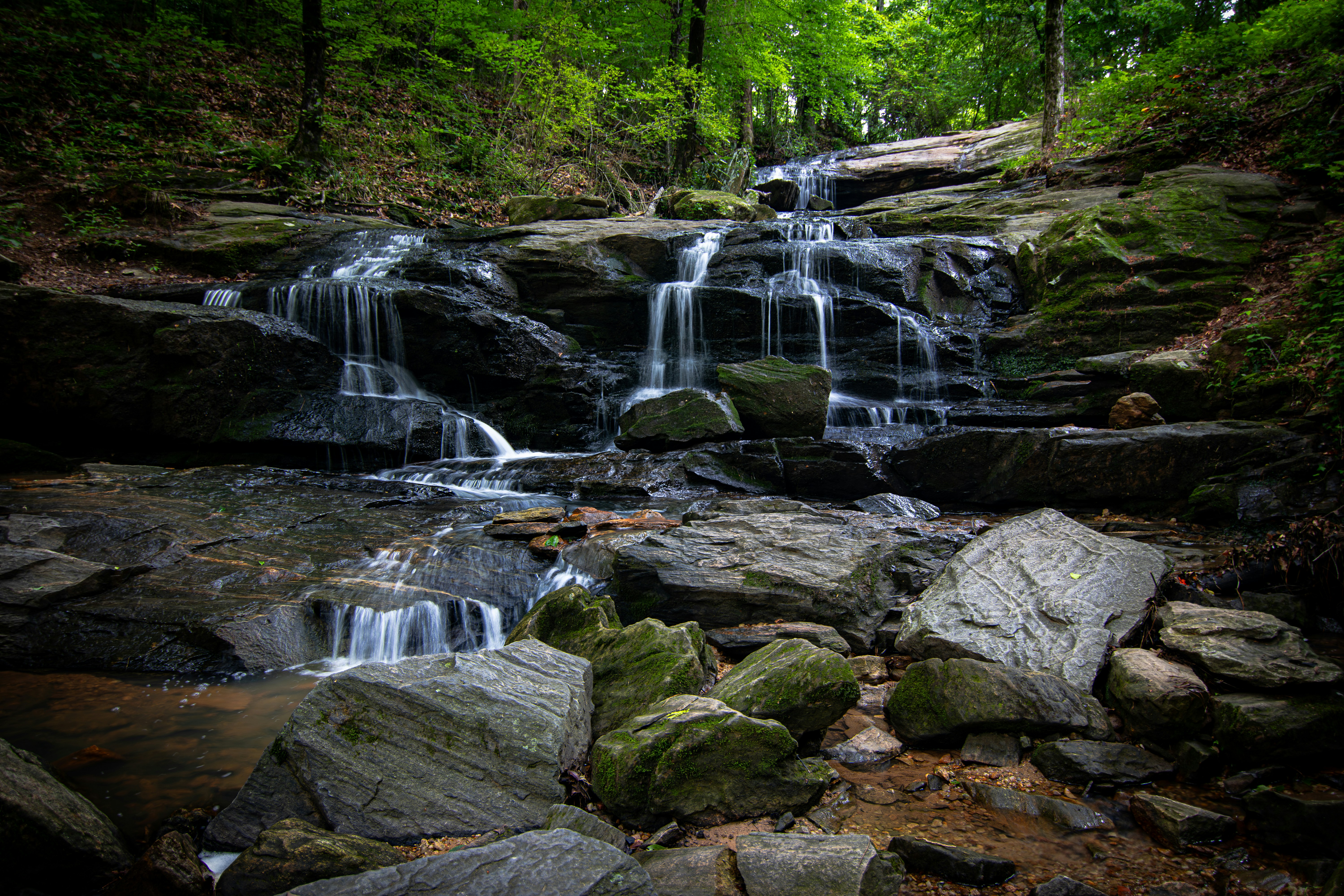 Photo by brice_cooper18