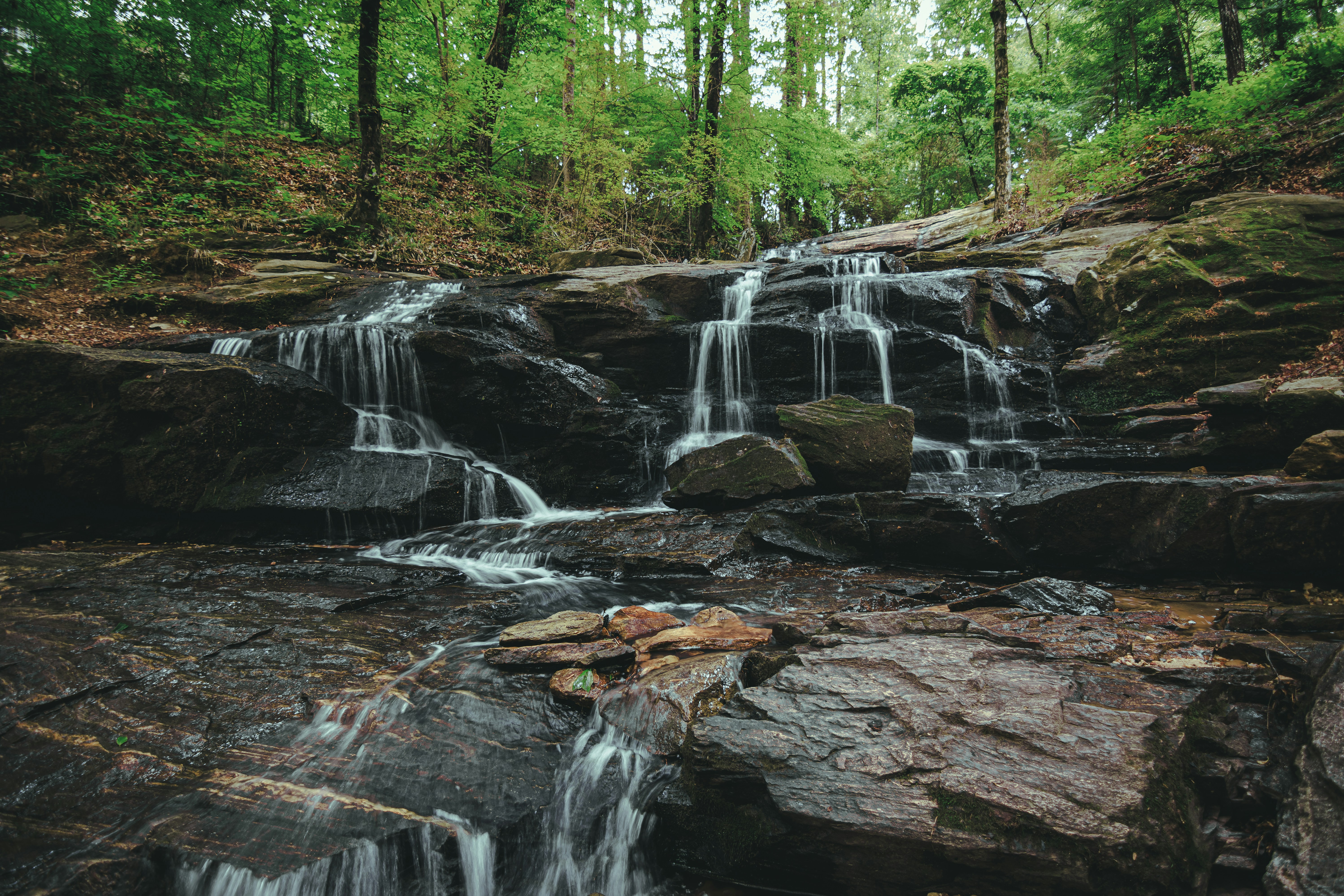 Photo by brice_cooper18