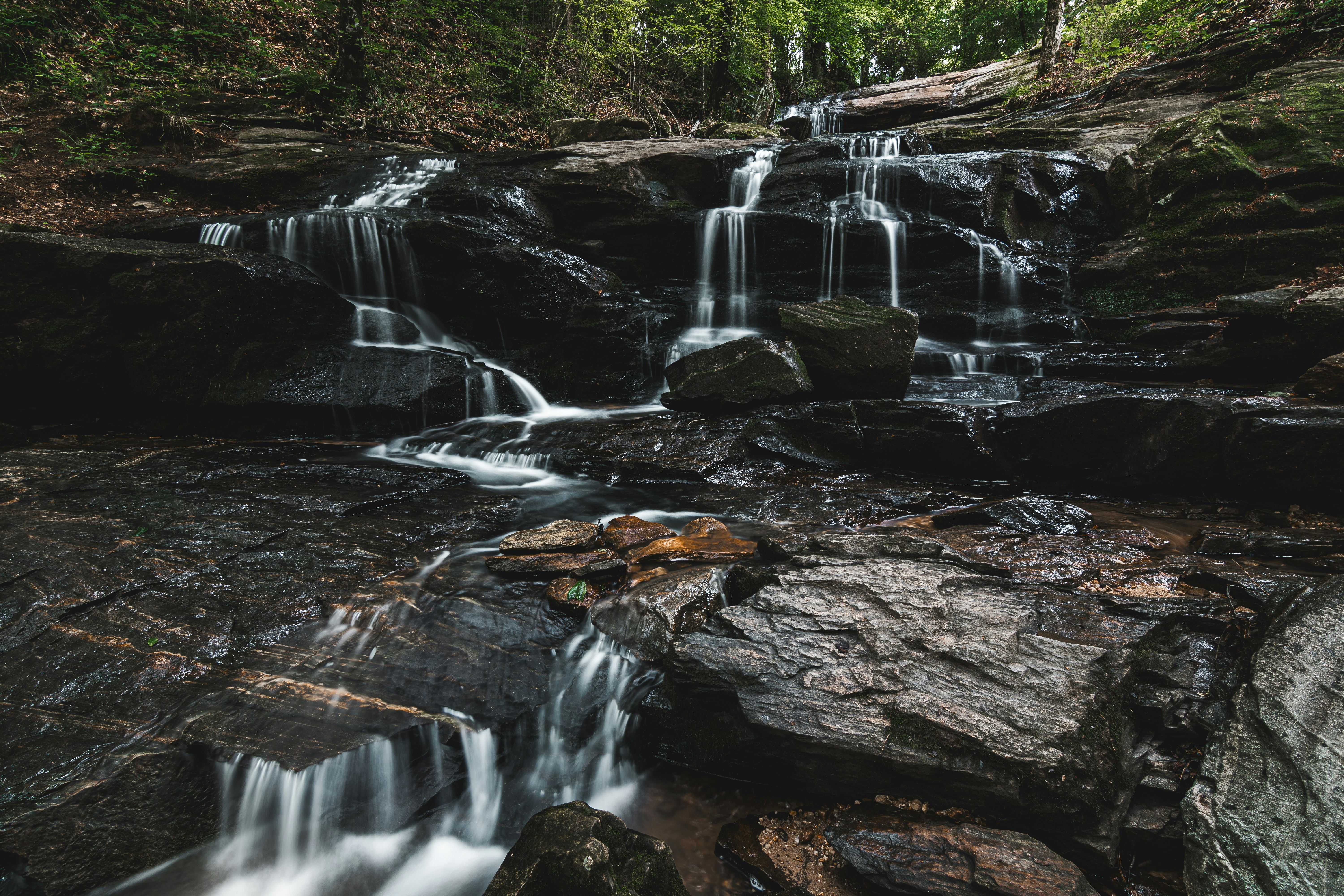 Photo by brice_cooper18