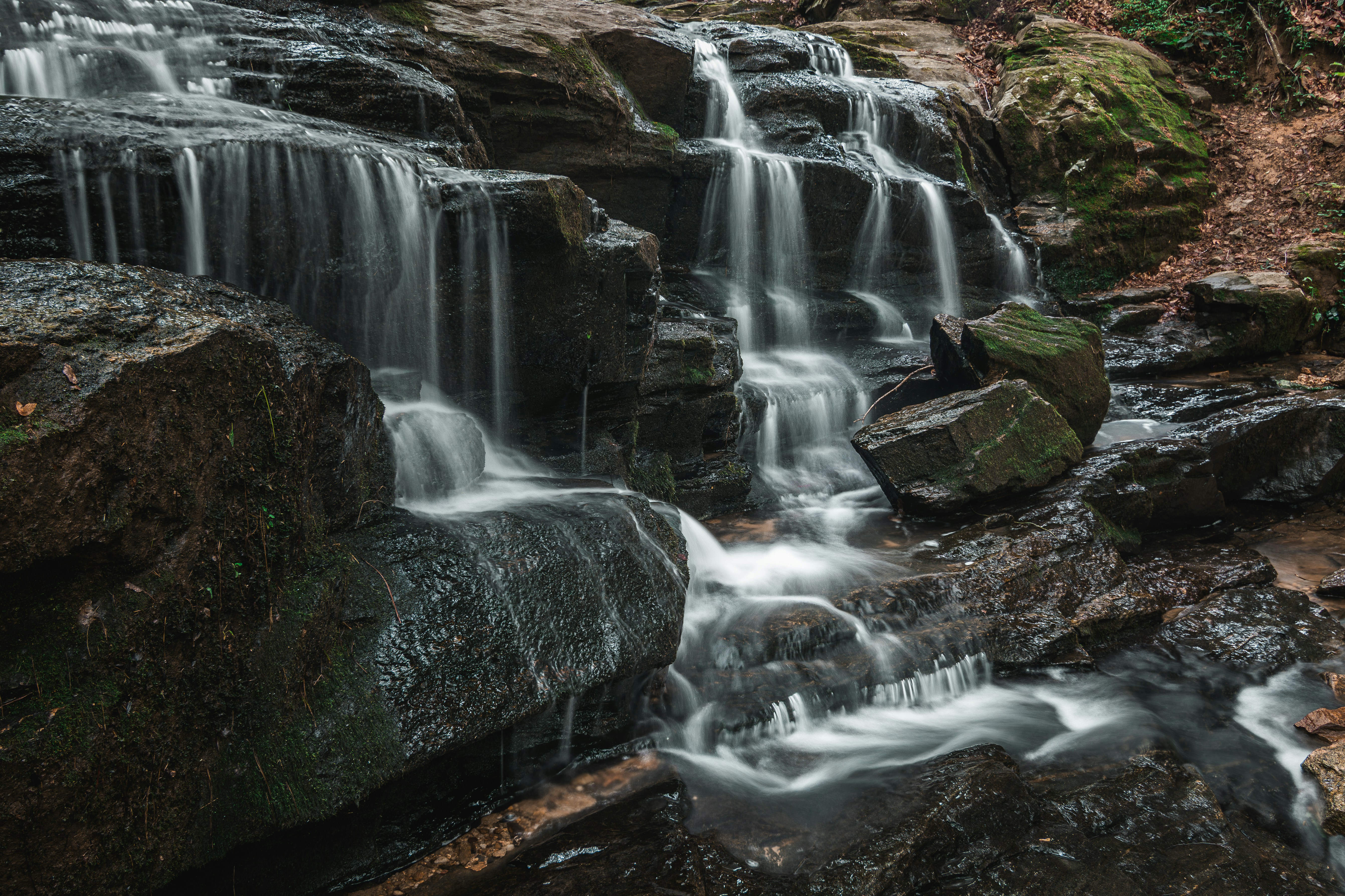 Photo by brice_cooper18