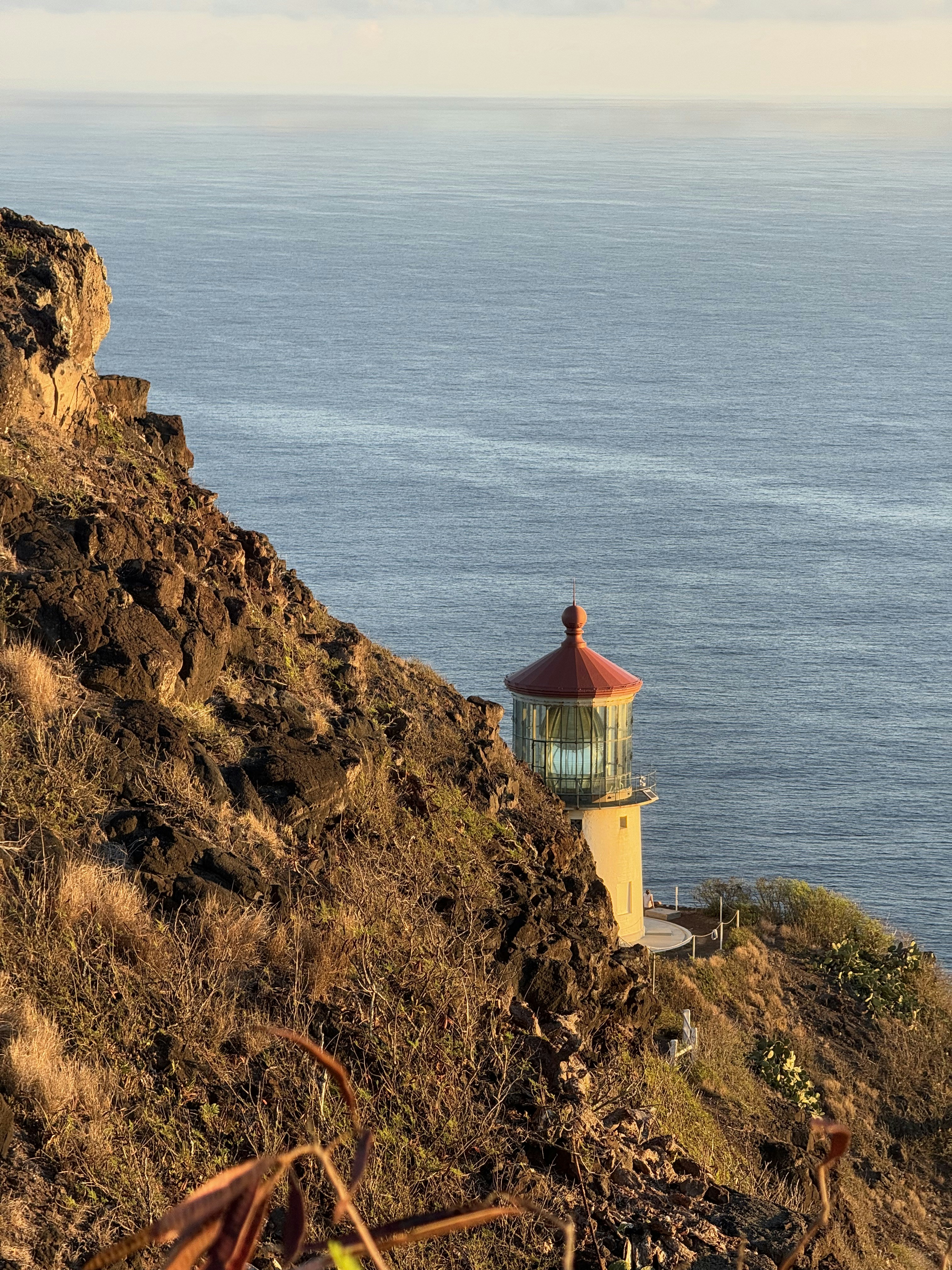 Photo by user_pascal