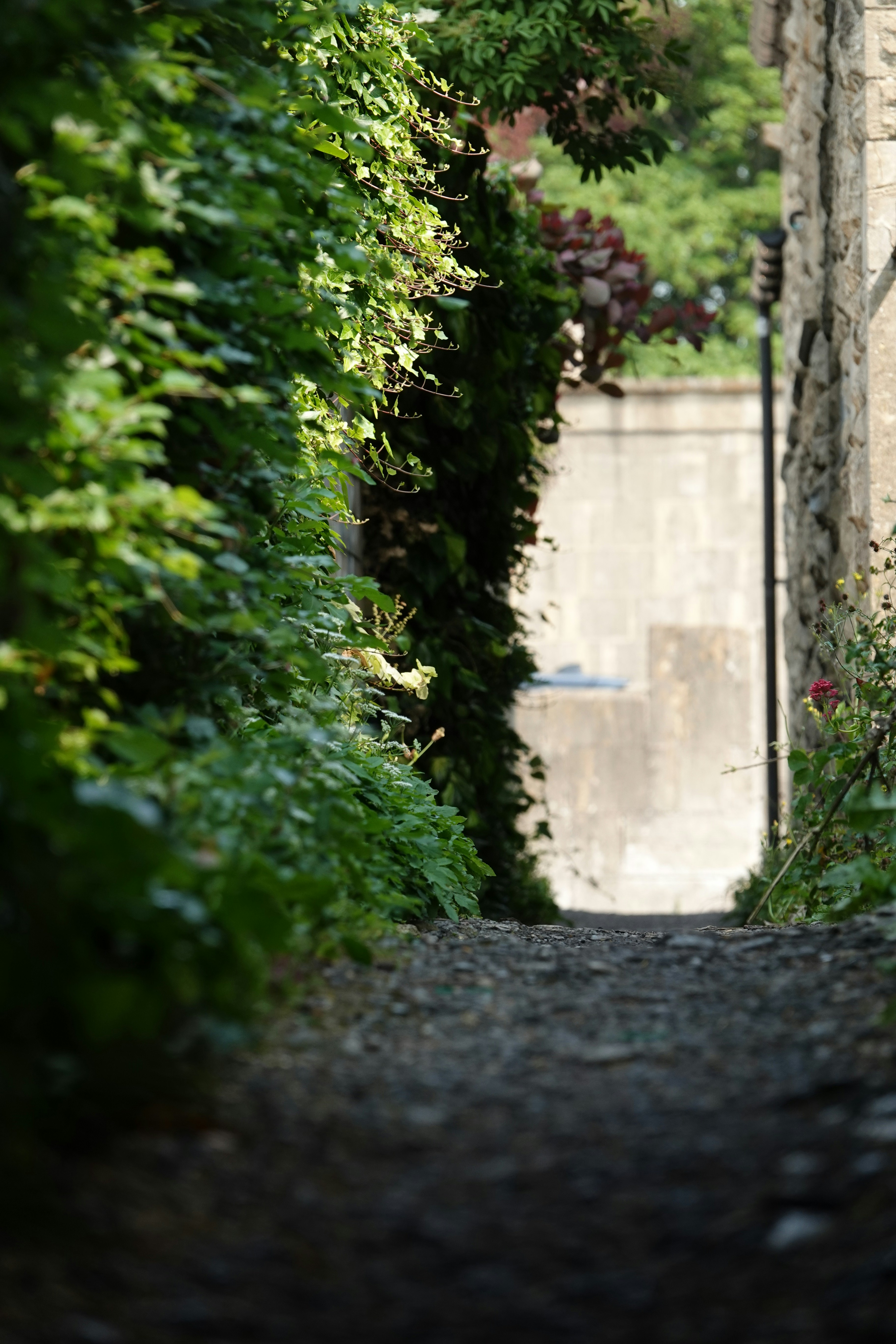 Photo by priyankachechi29