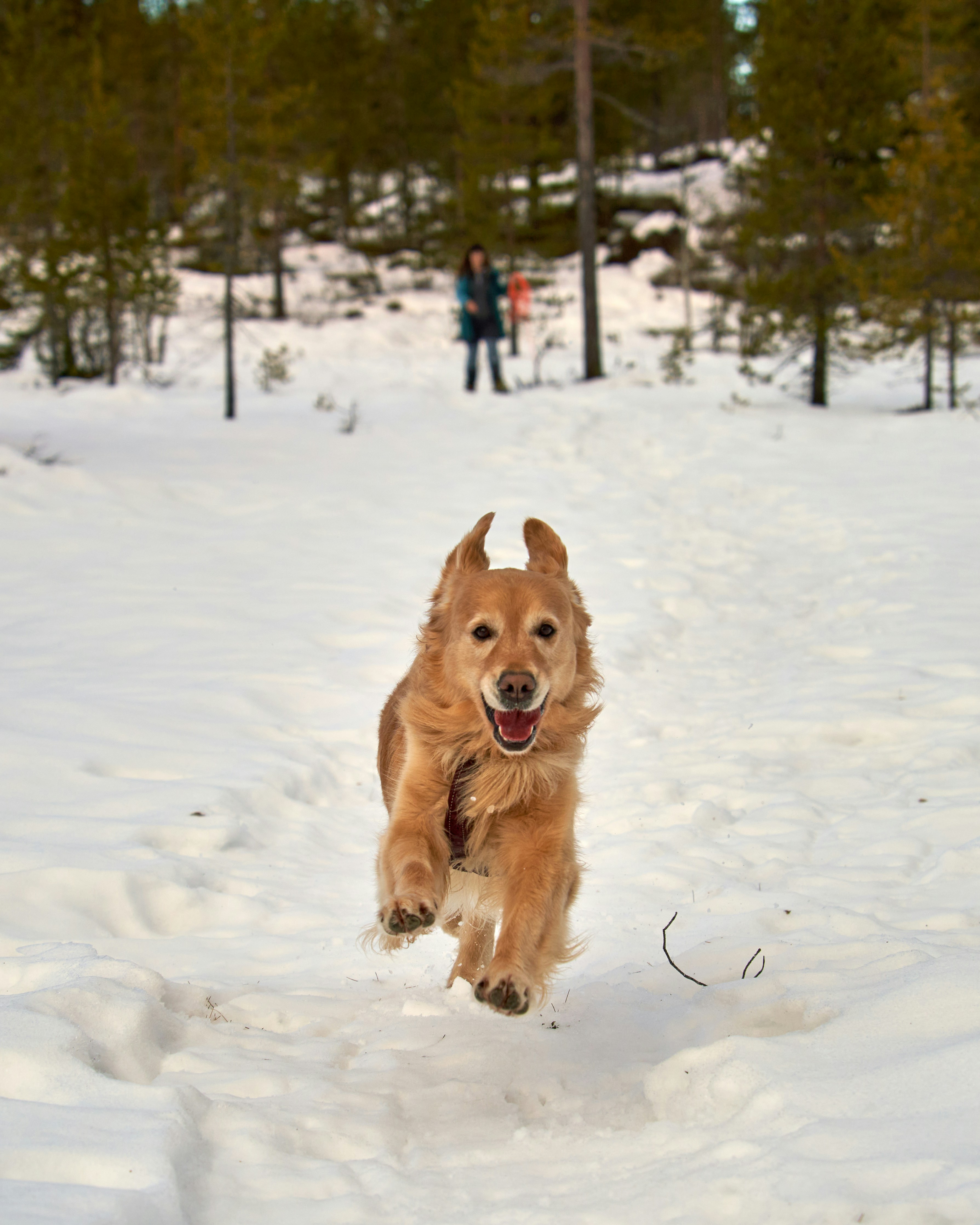 Photo by davotibarna