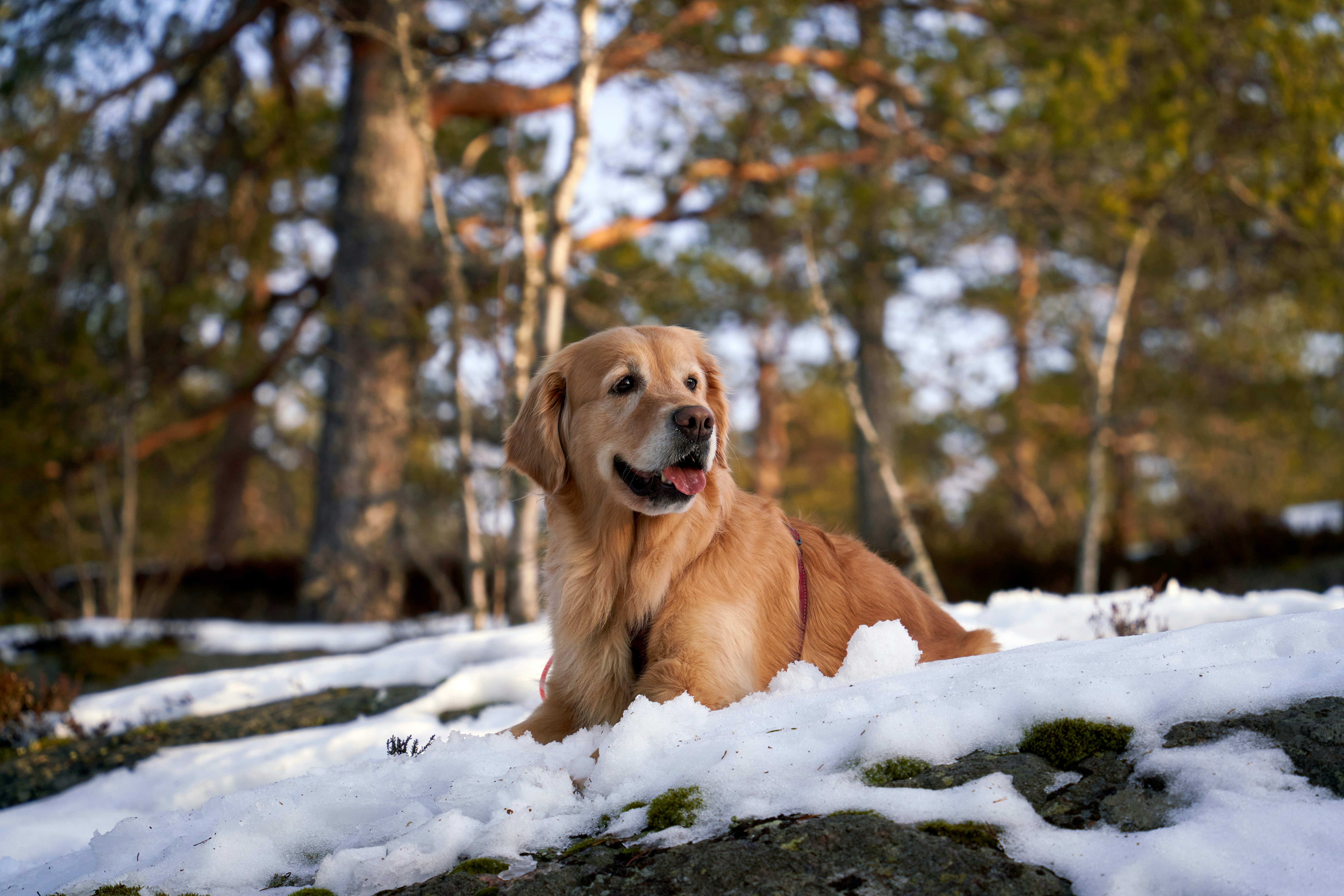 Photo by davotibarna