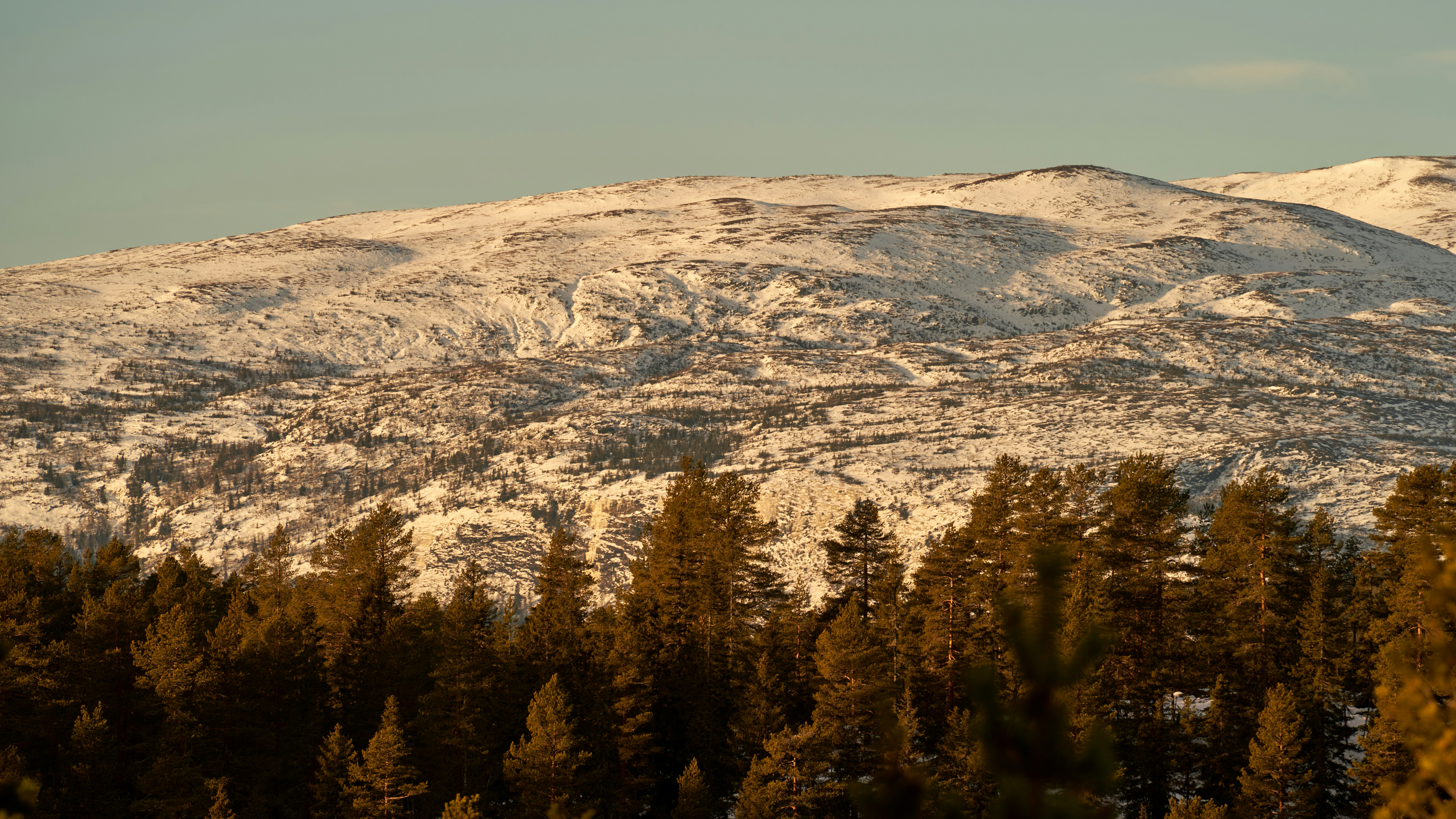 Photo by davotibarna