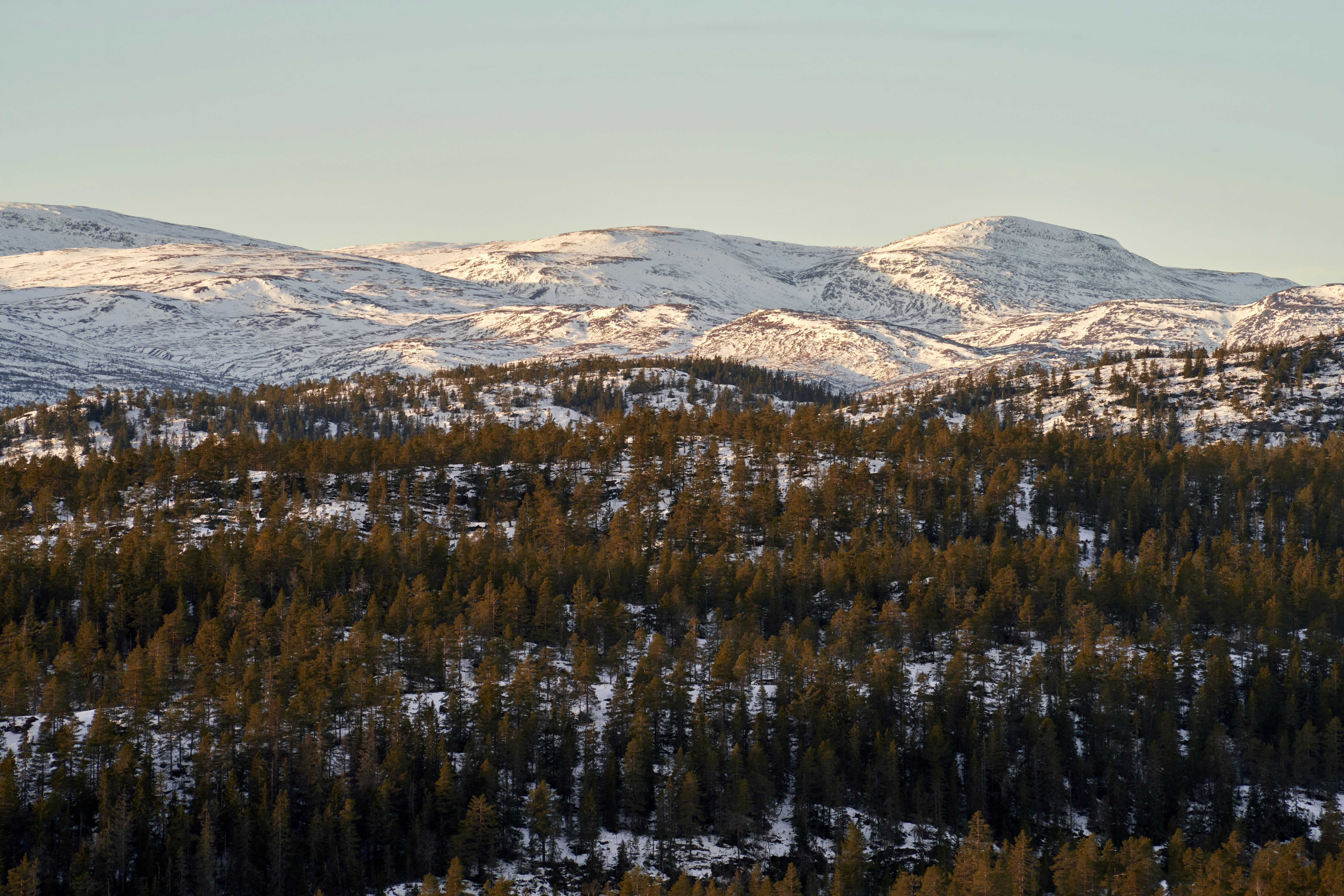 Photo by davotibarna