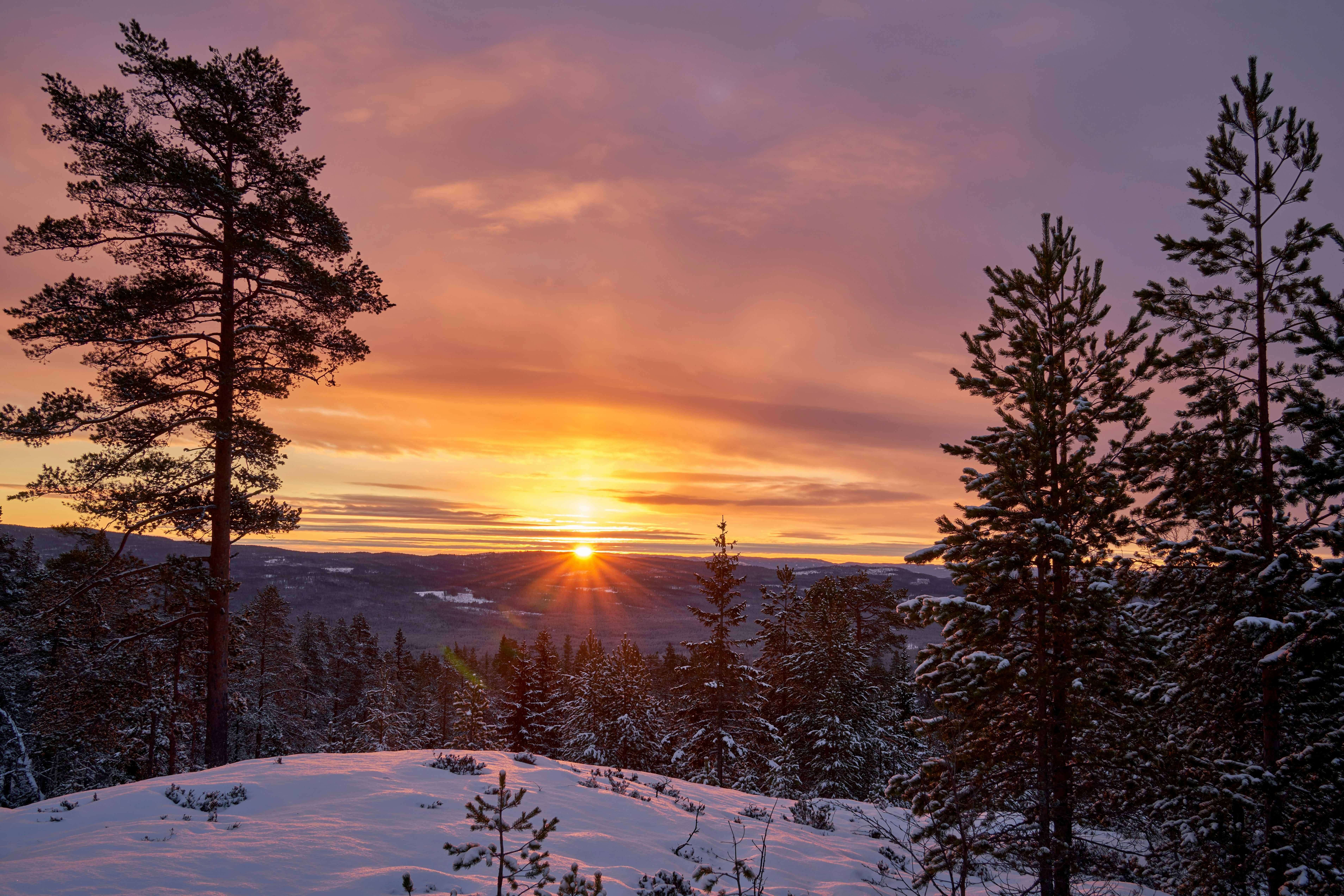 Photo by davotibarna