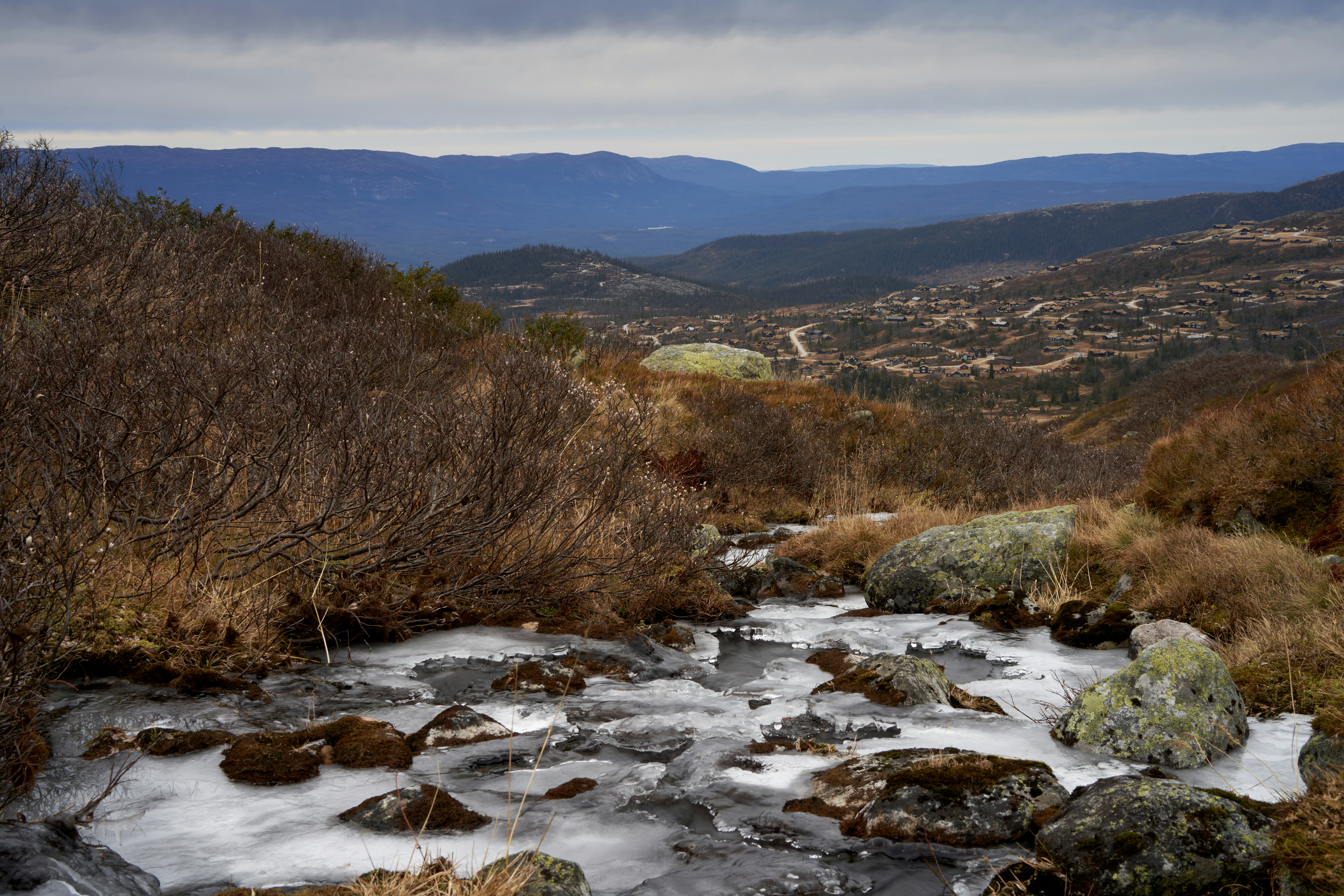 Photo by davotibarna