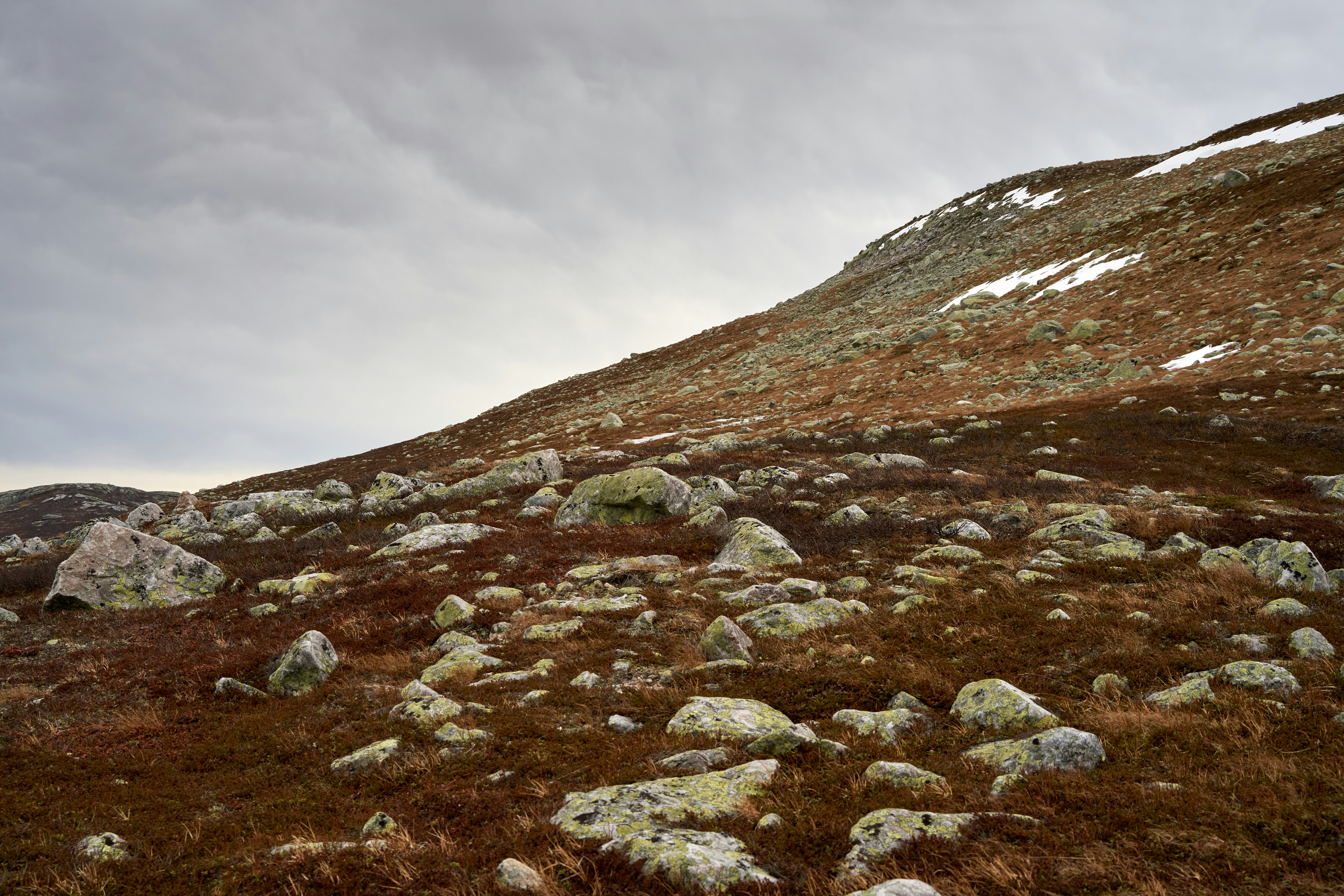 Photo by davotibarna