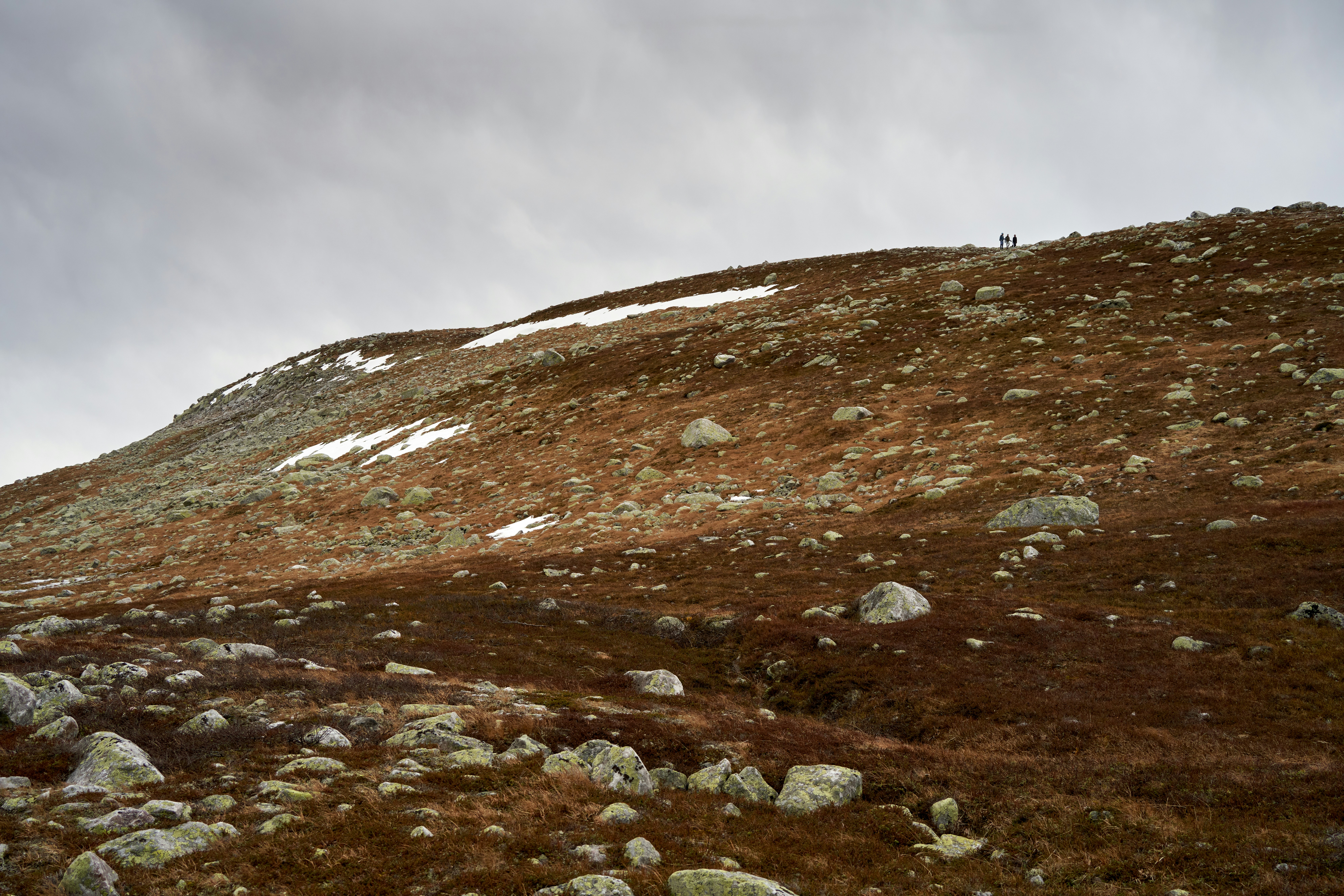 Photo by davotibarna