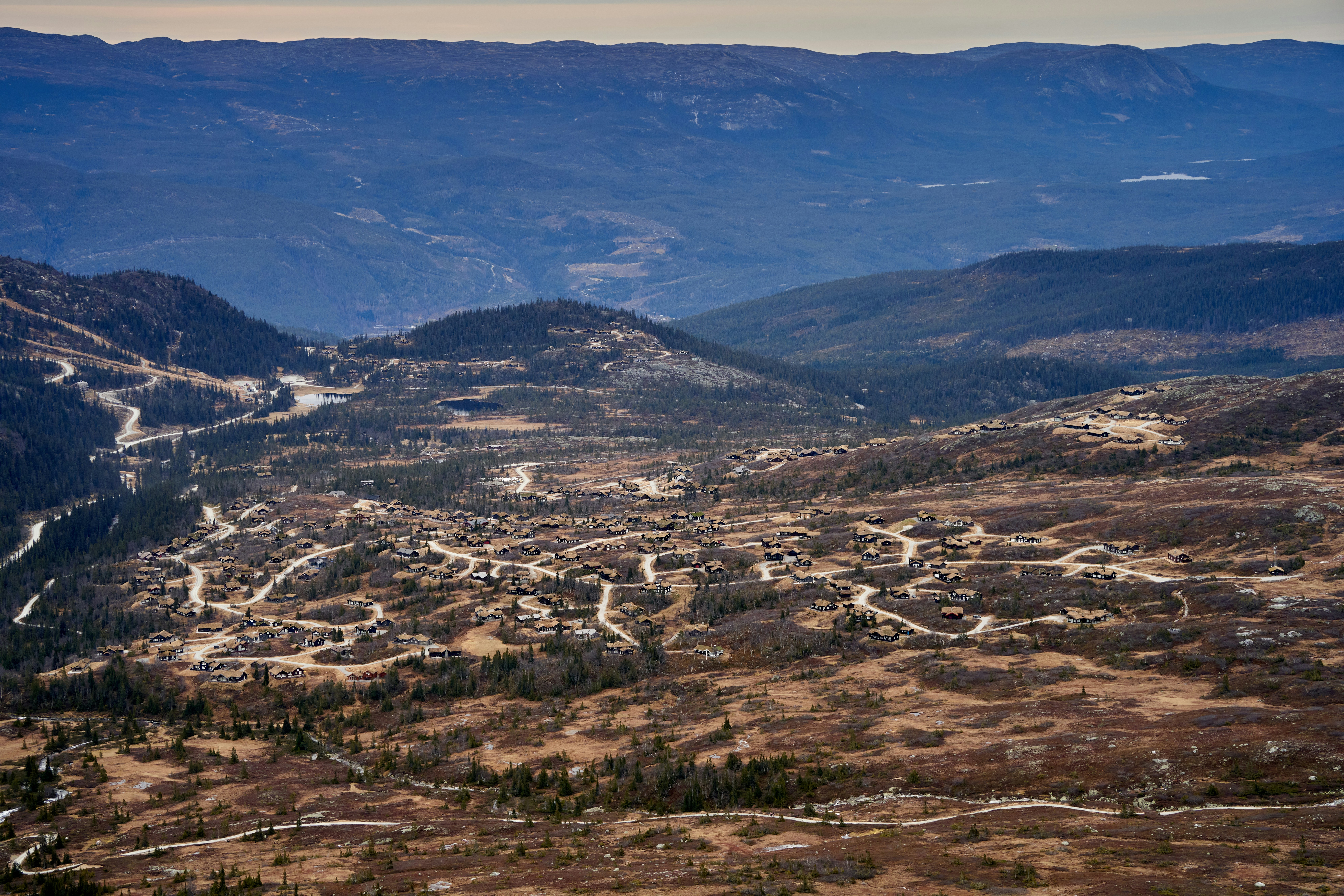 Photo by davotibarna