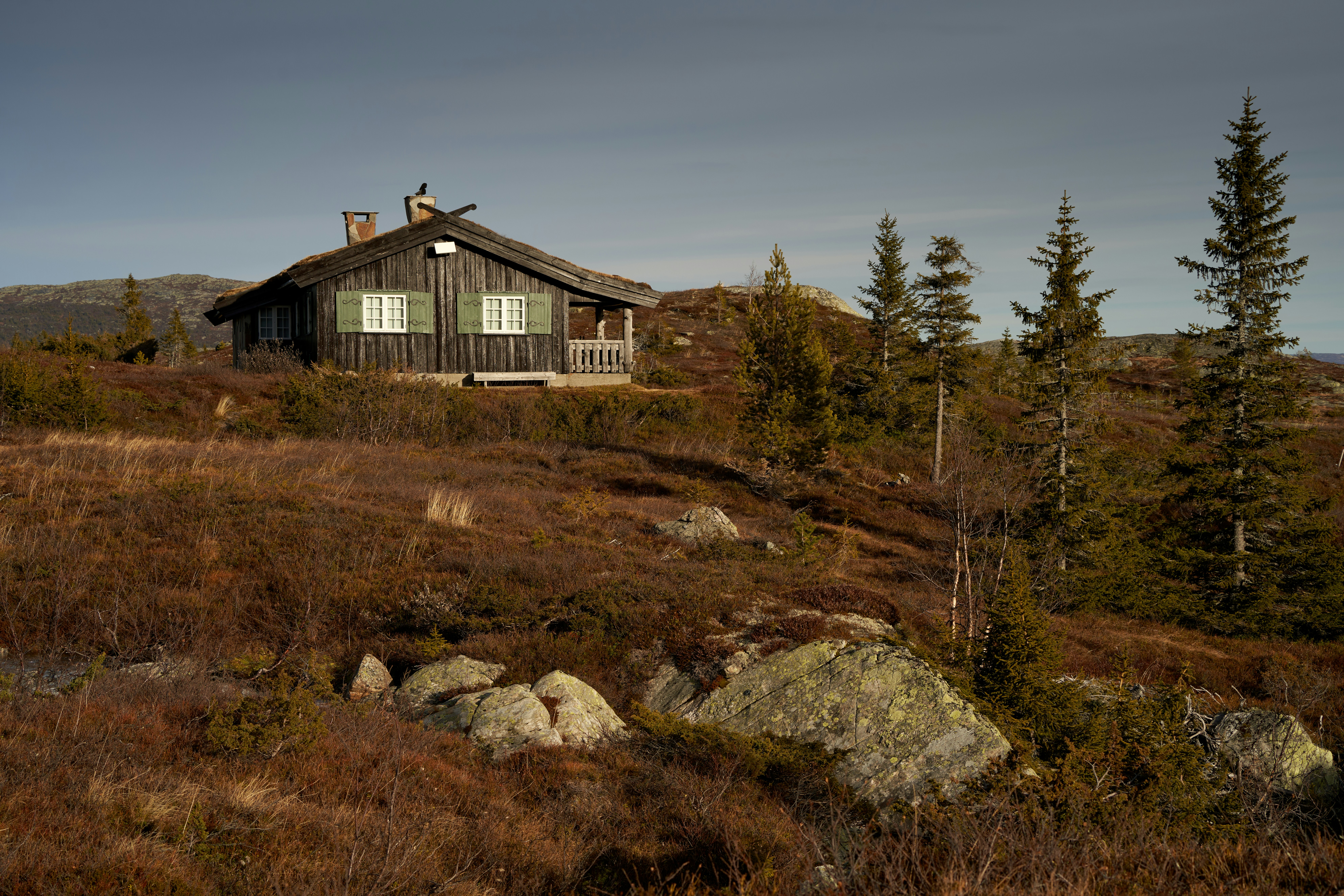 Photo by davotibarna