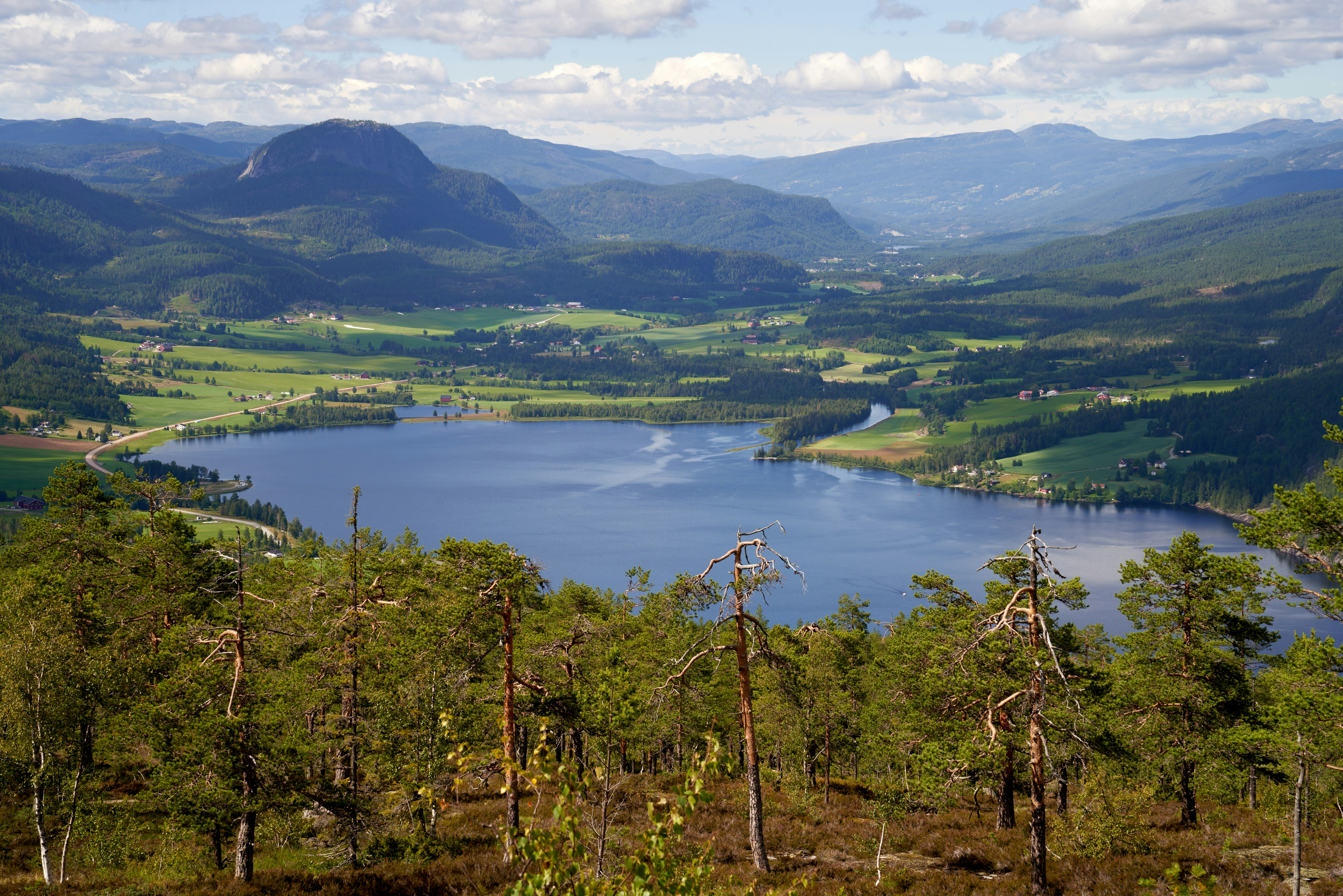 Photo by davotibarna