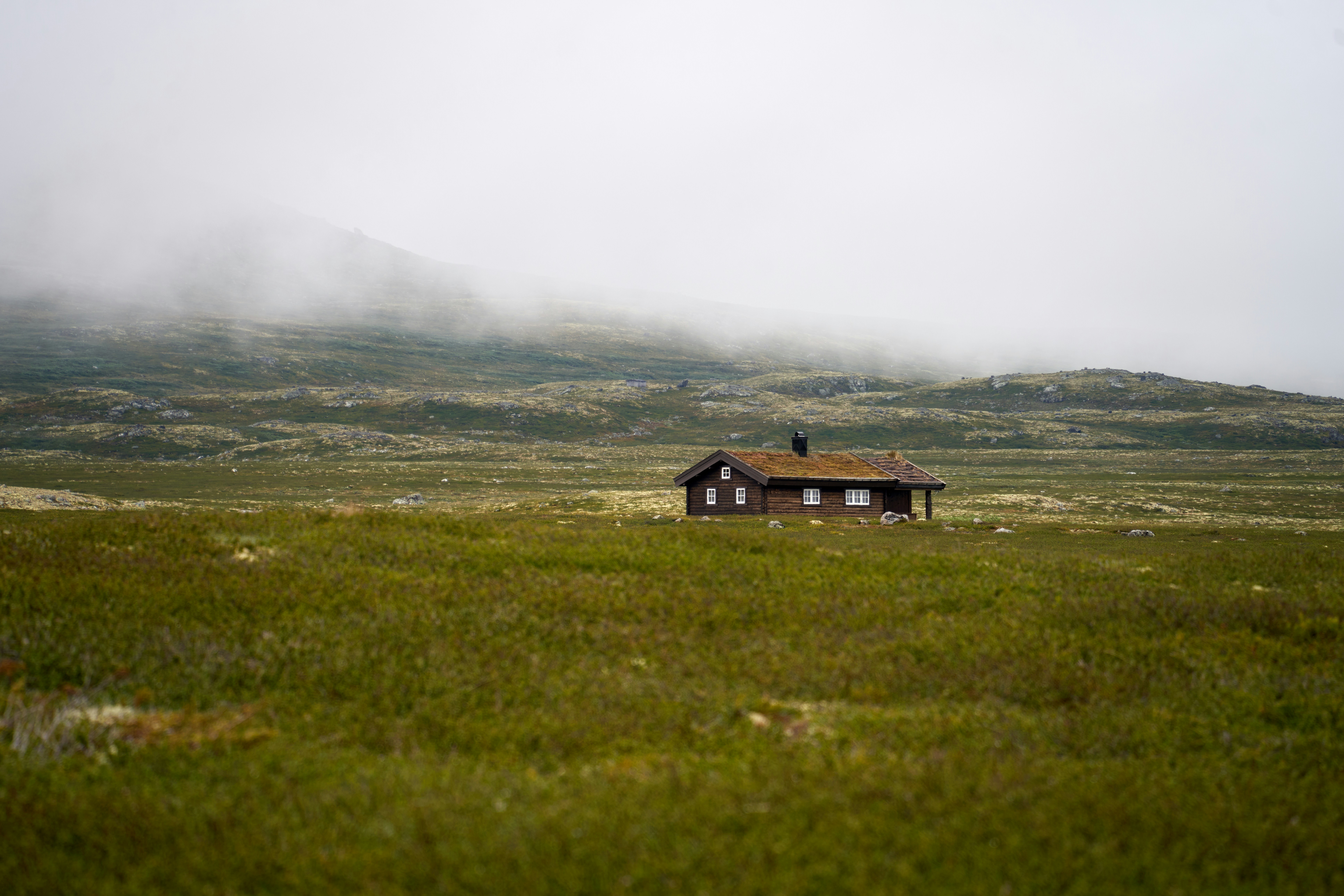 Photo by davotibarna