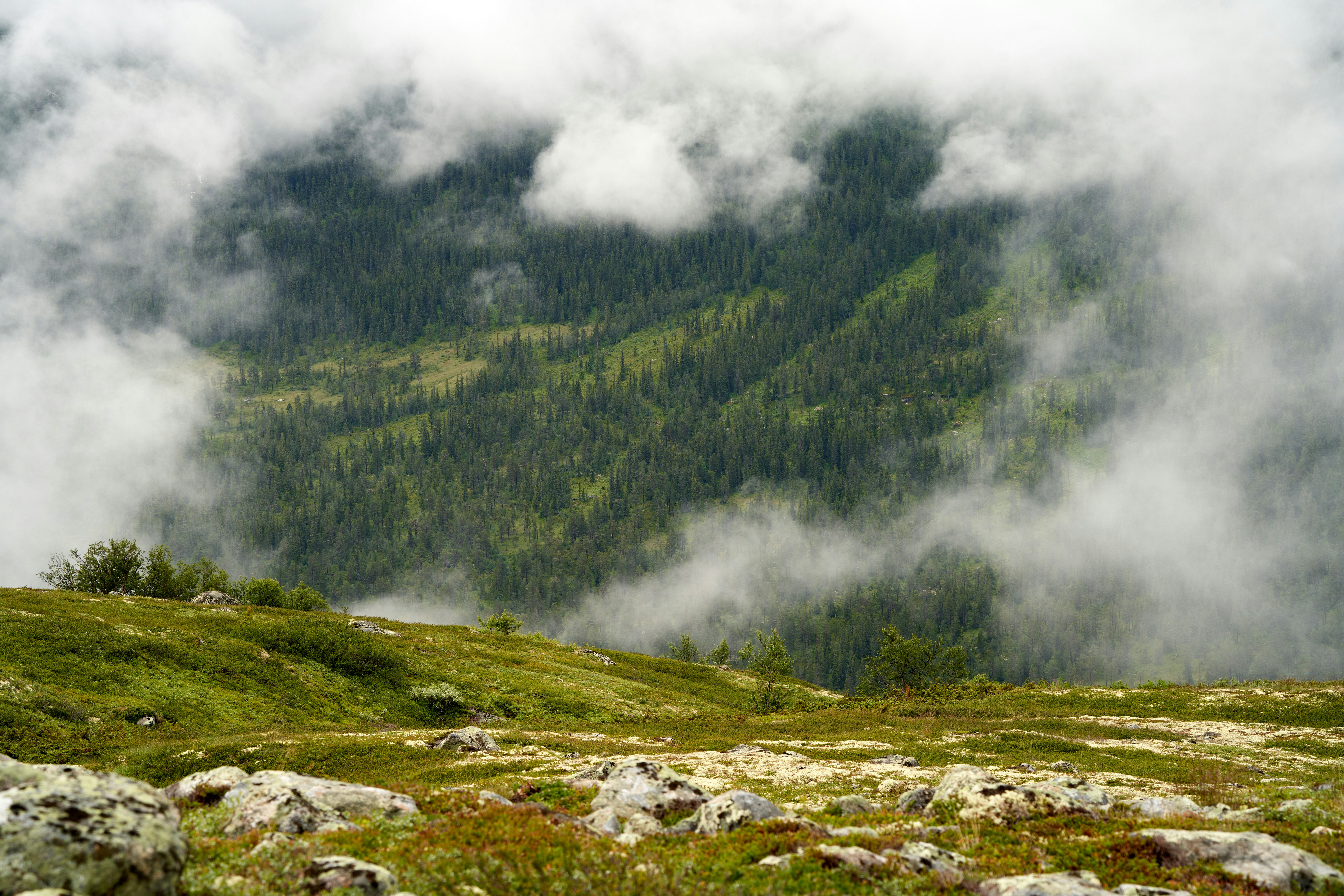 Photo by davotibarna