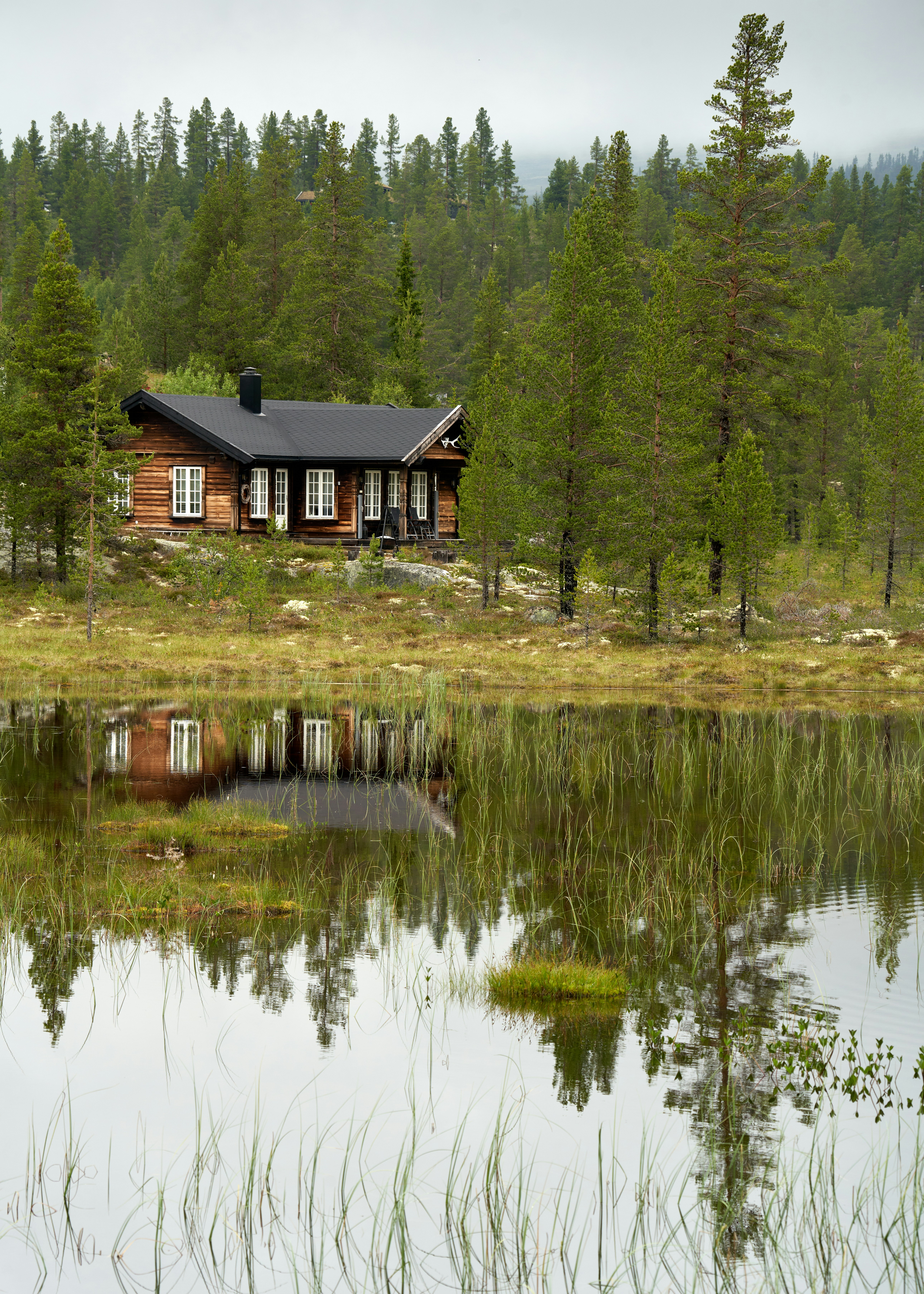 Photo by davotibarna