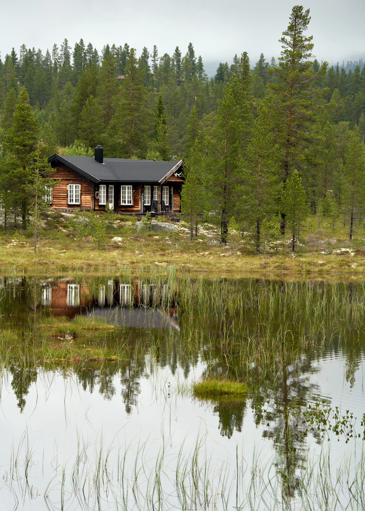 Timber cabin retreat on a serene lakeside in the forest.