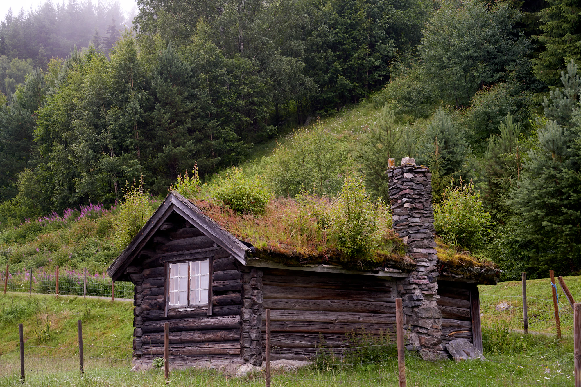 A wooden cabin with a grass roof