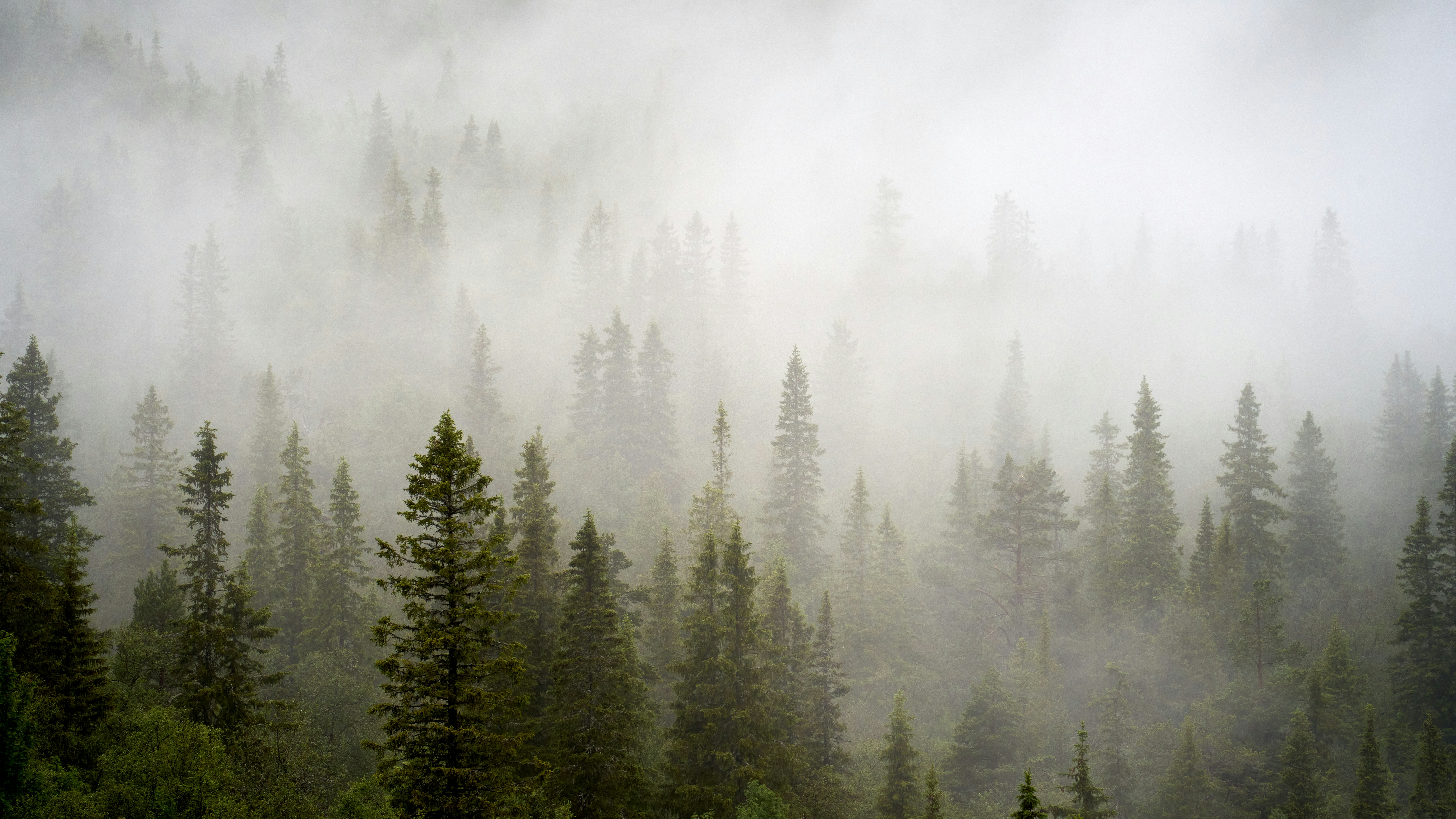 Photo by davotibarna