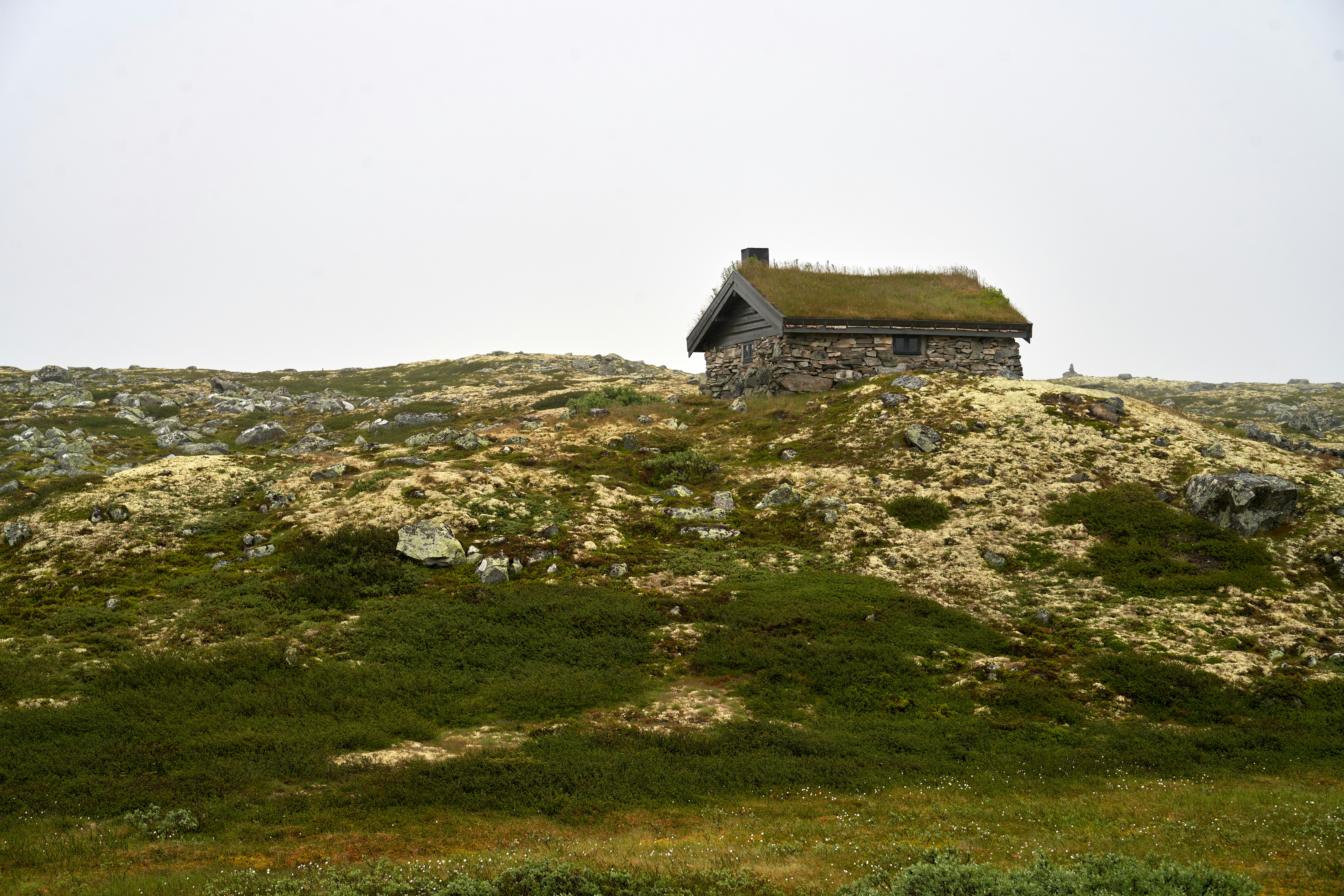 Photo by davotibarna