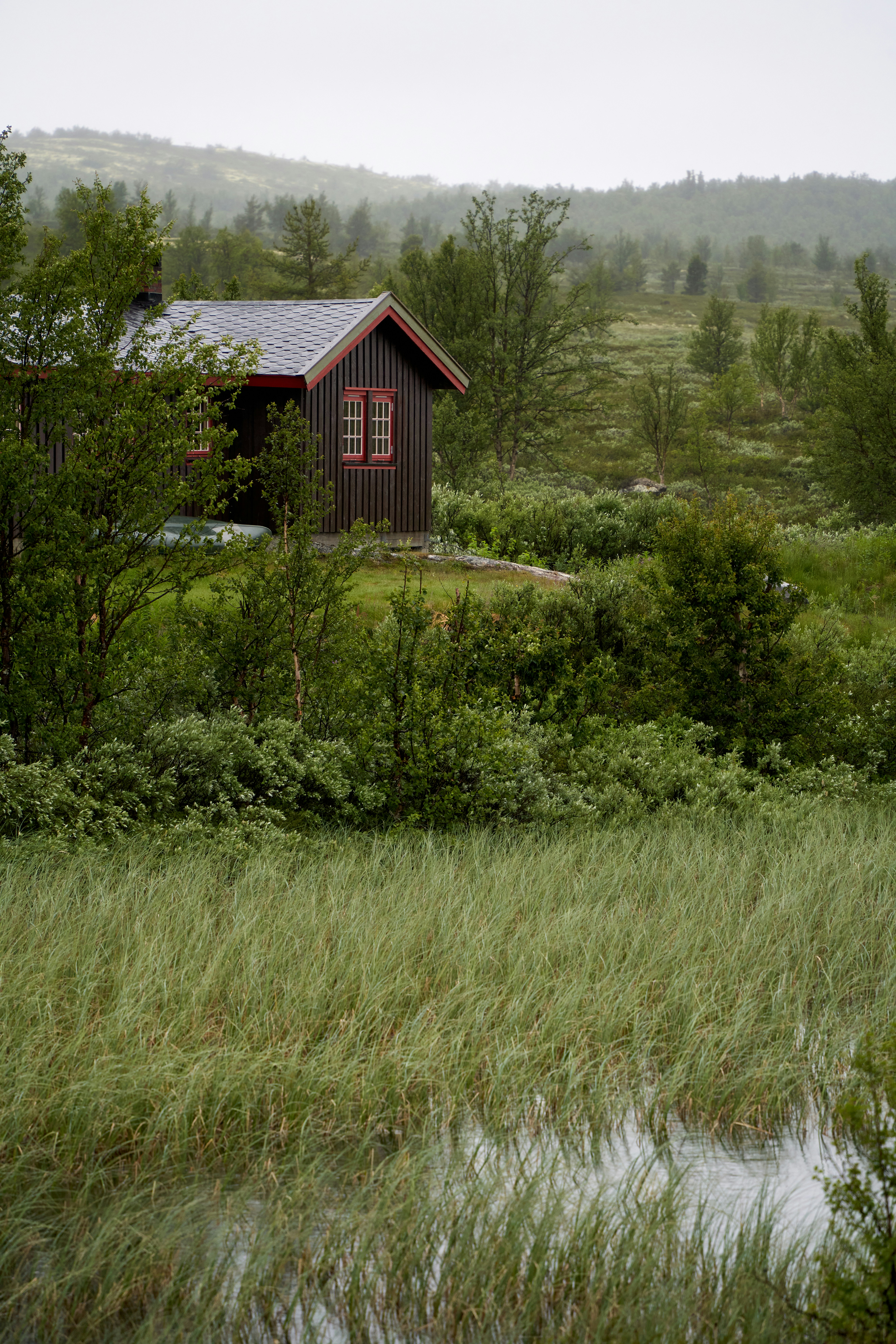 Photo by davotibarna