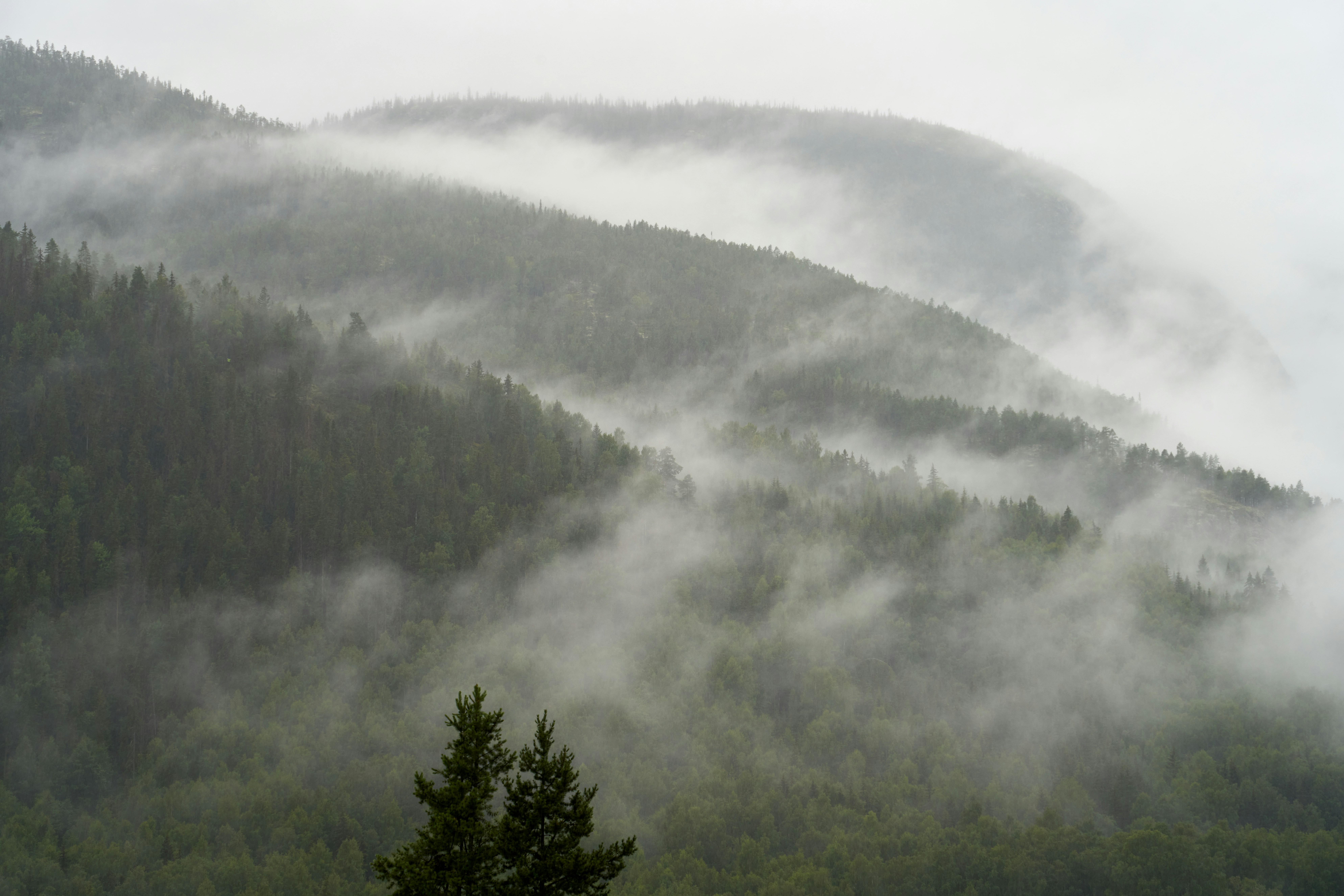 Photo by davotibarna