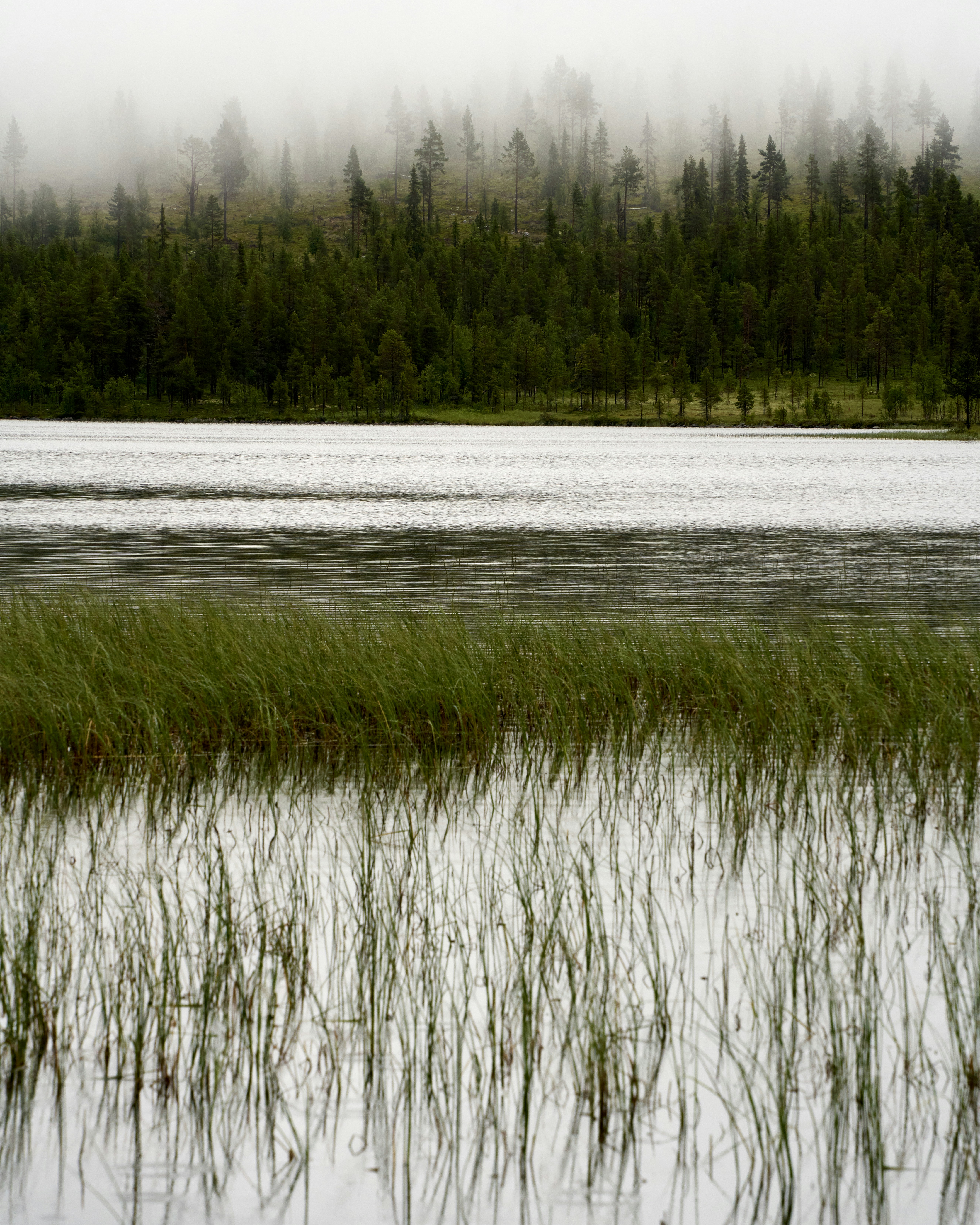 Photo by davotibarna