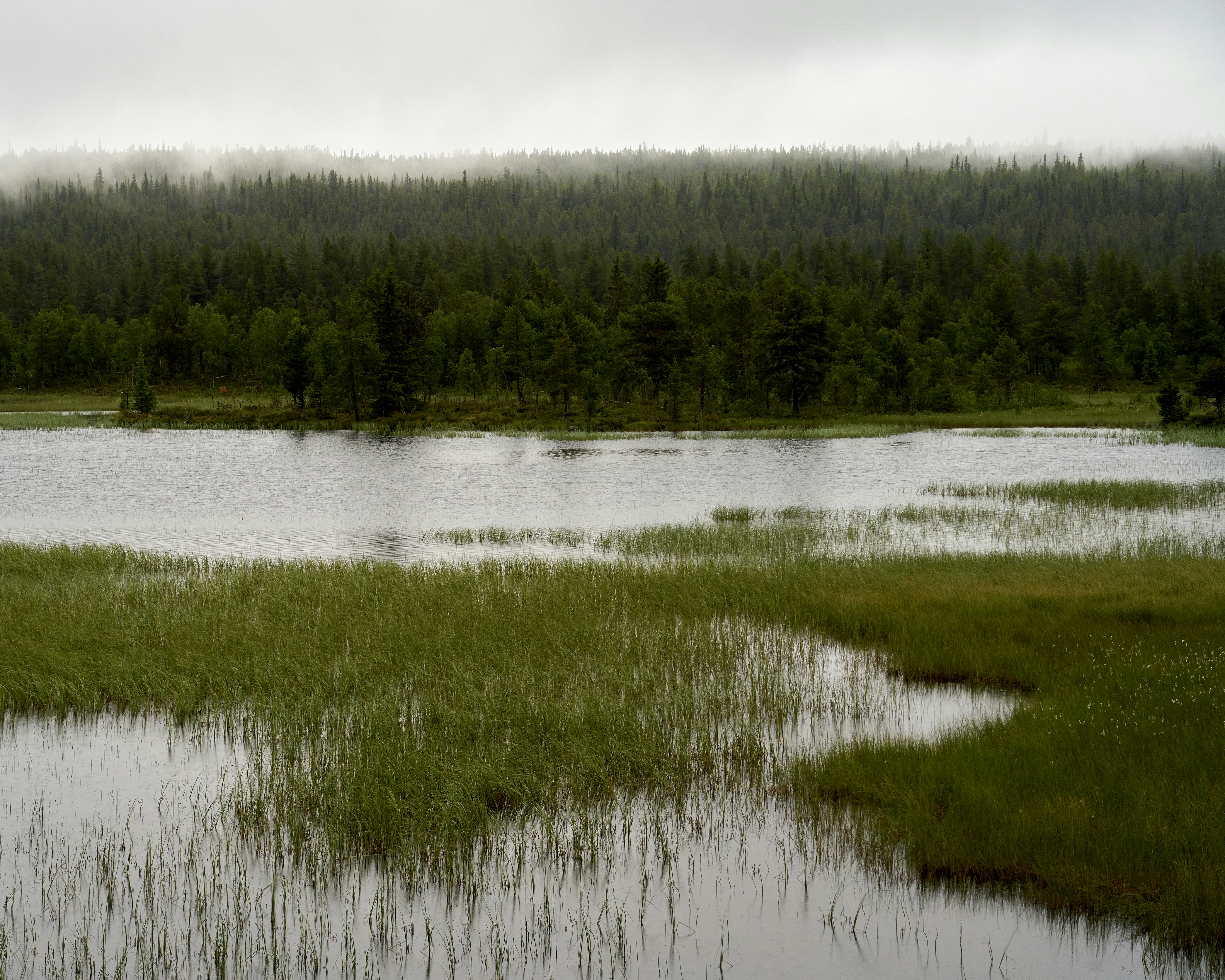 Photo by davotibarna