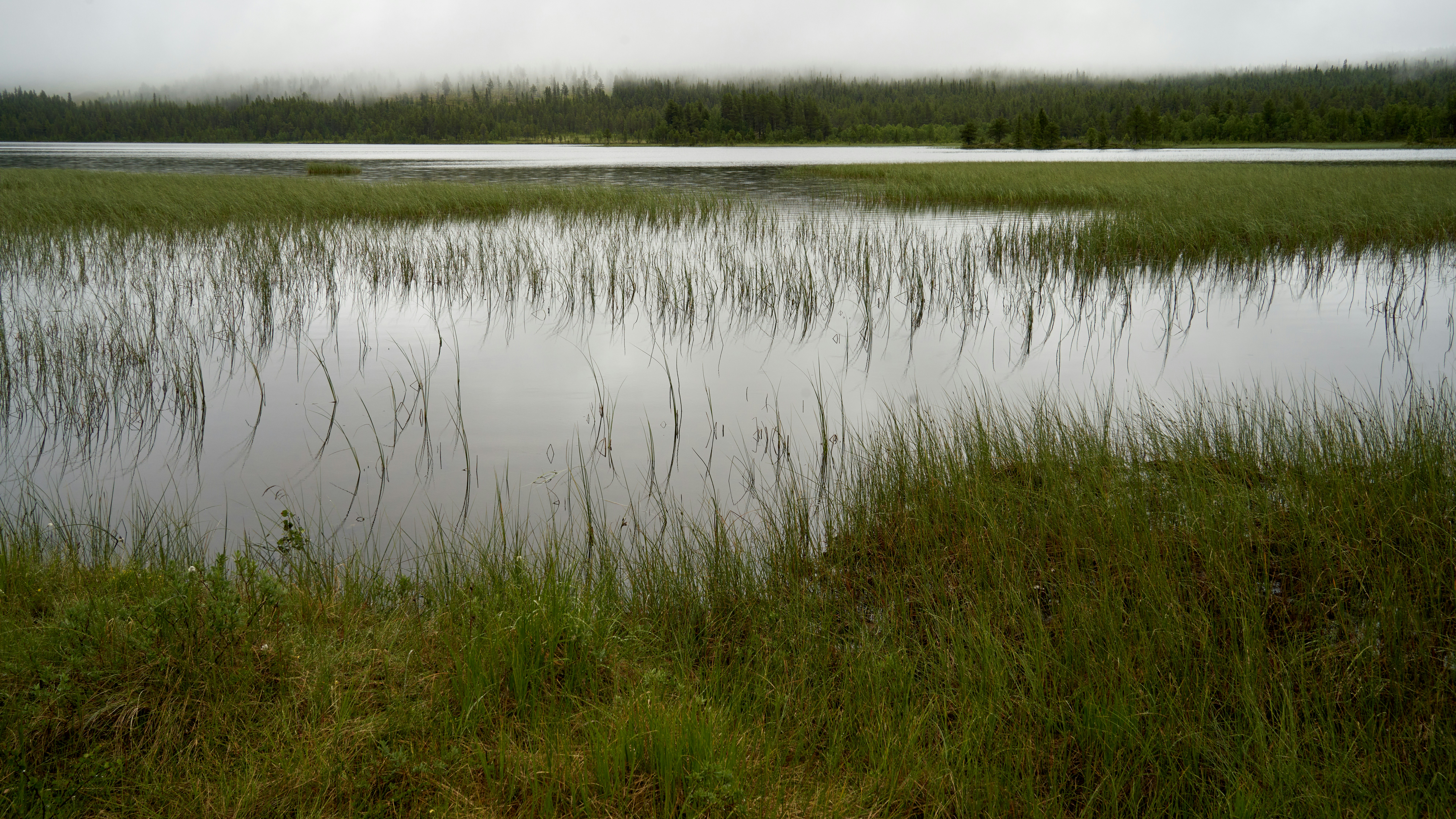 Photo by davotibarna