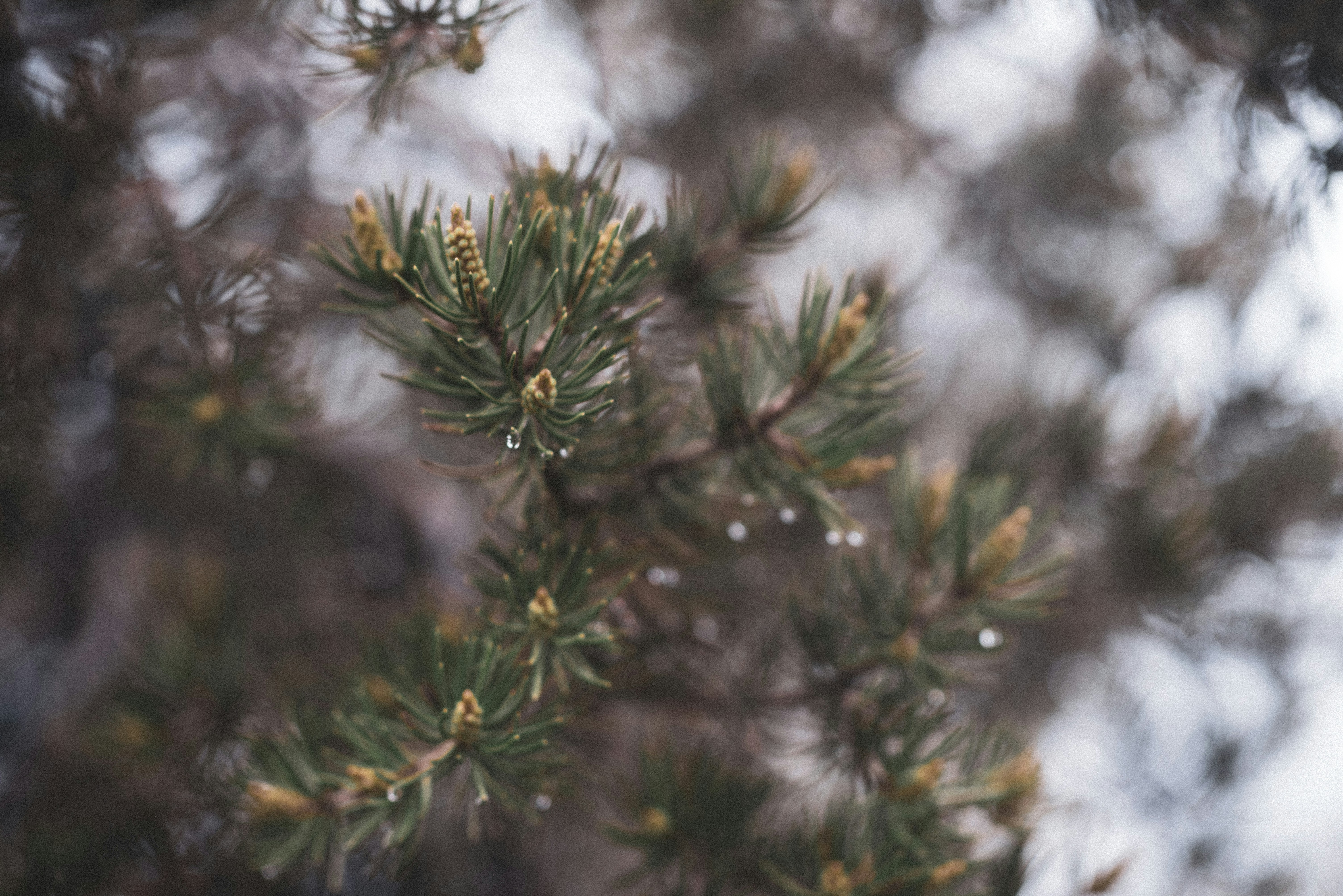 Photo by tayannphoto