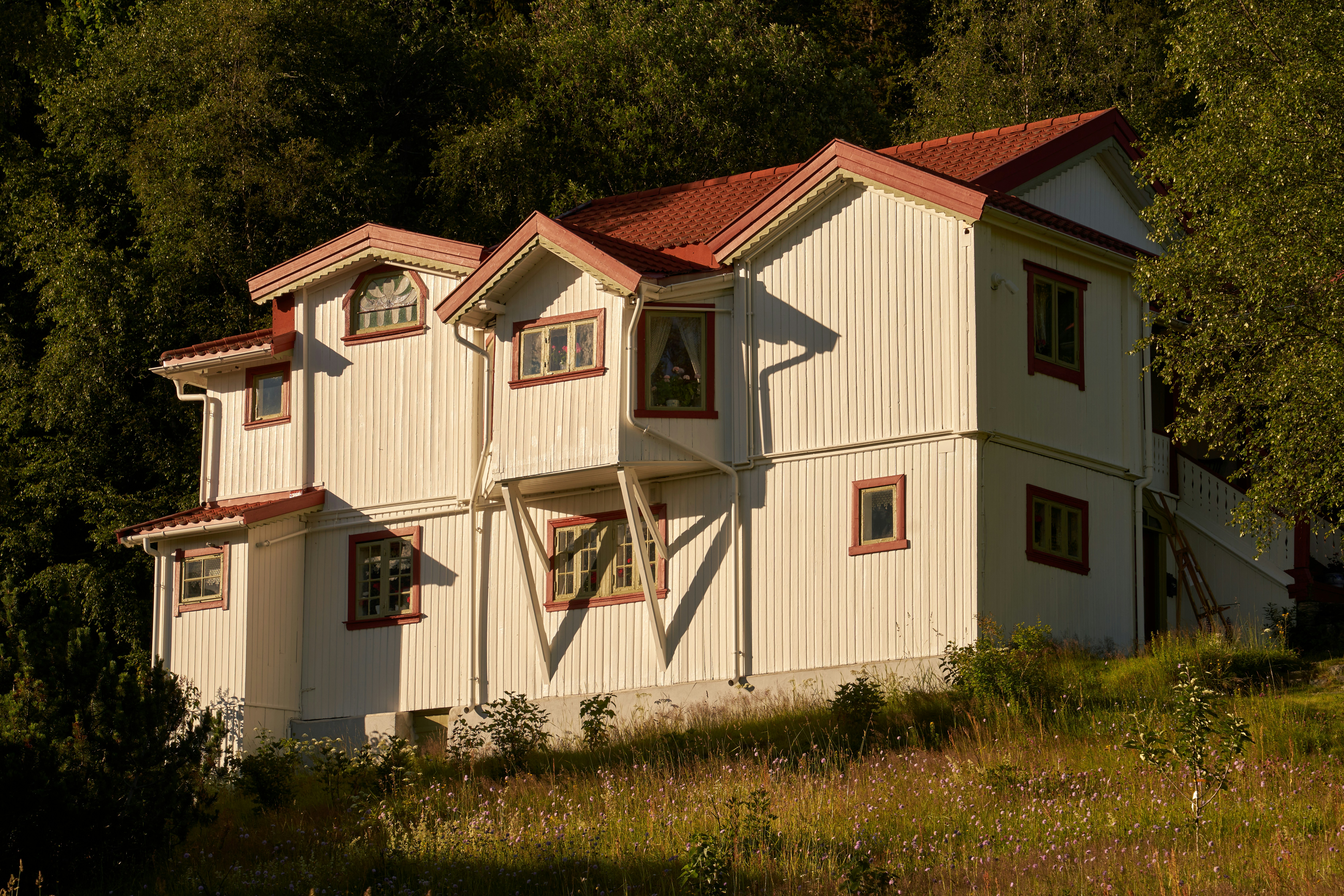 Photo by davotibarna